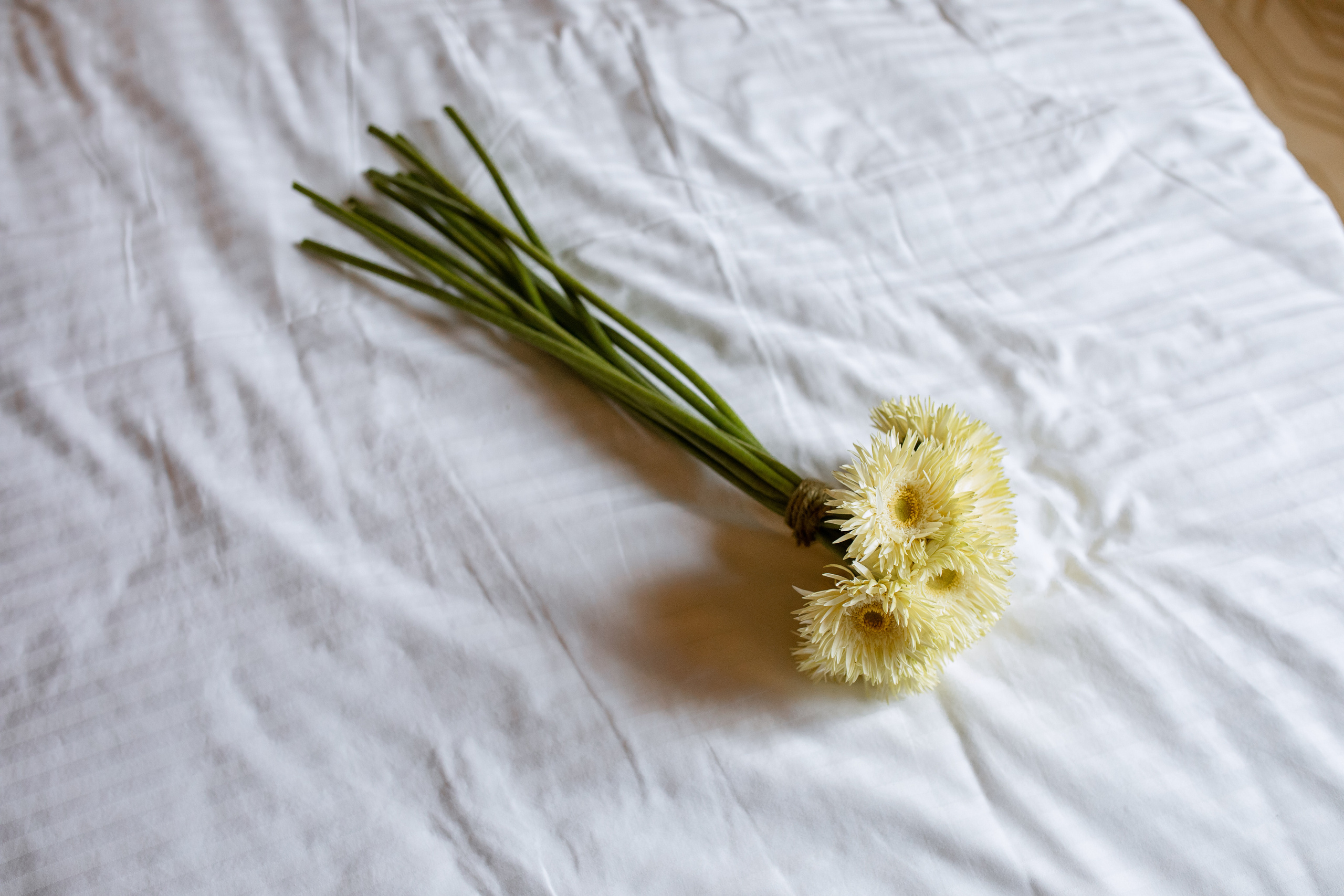 Игорь и Таня. Свадебный фотограф Витебск Минск