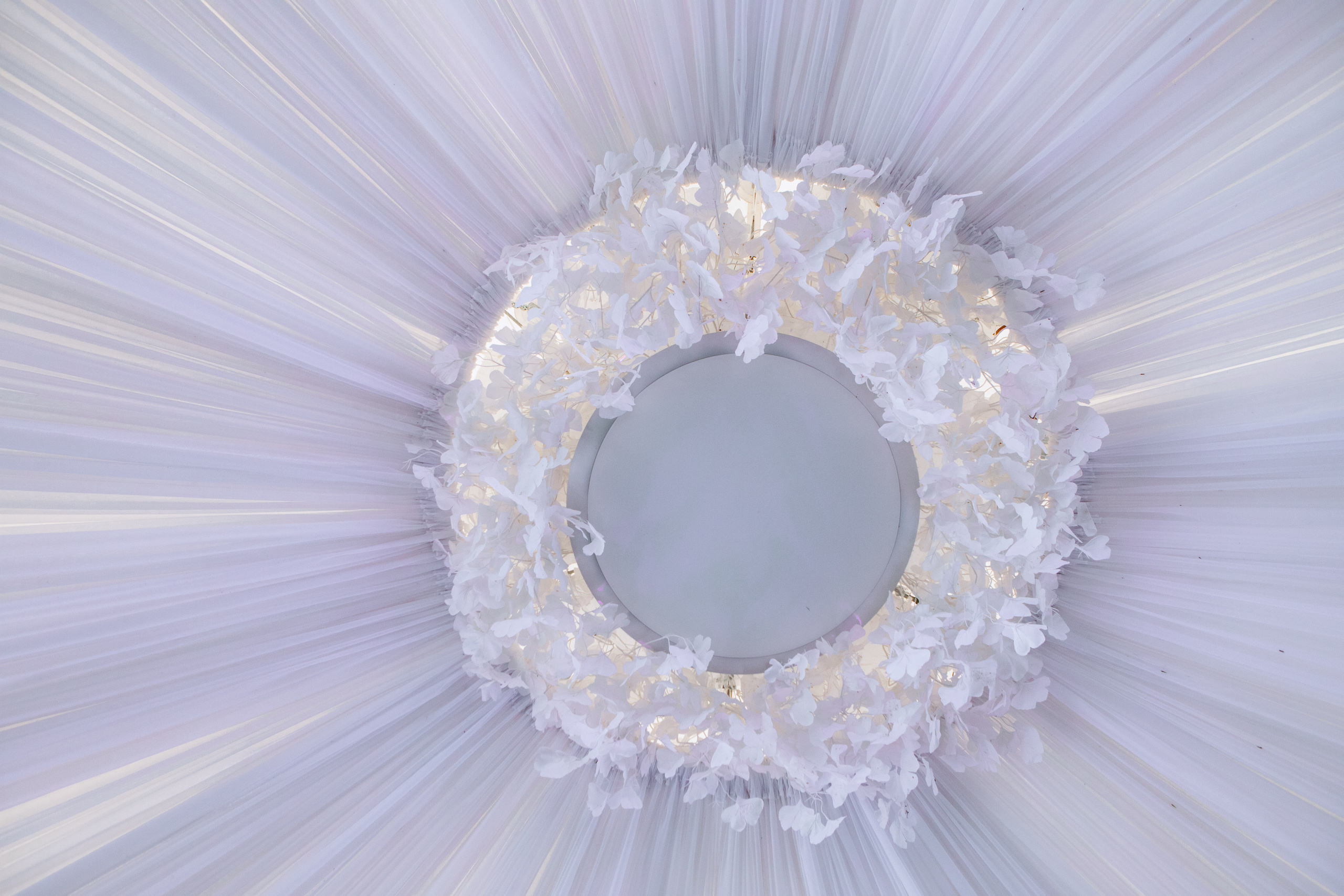 Даниил и Алина. Свадебный фотограф Витебск Минск