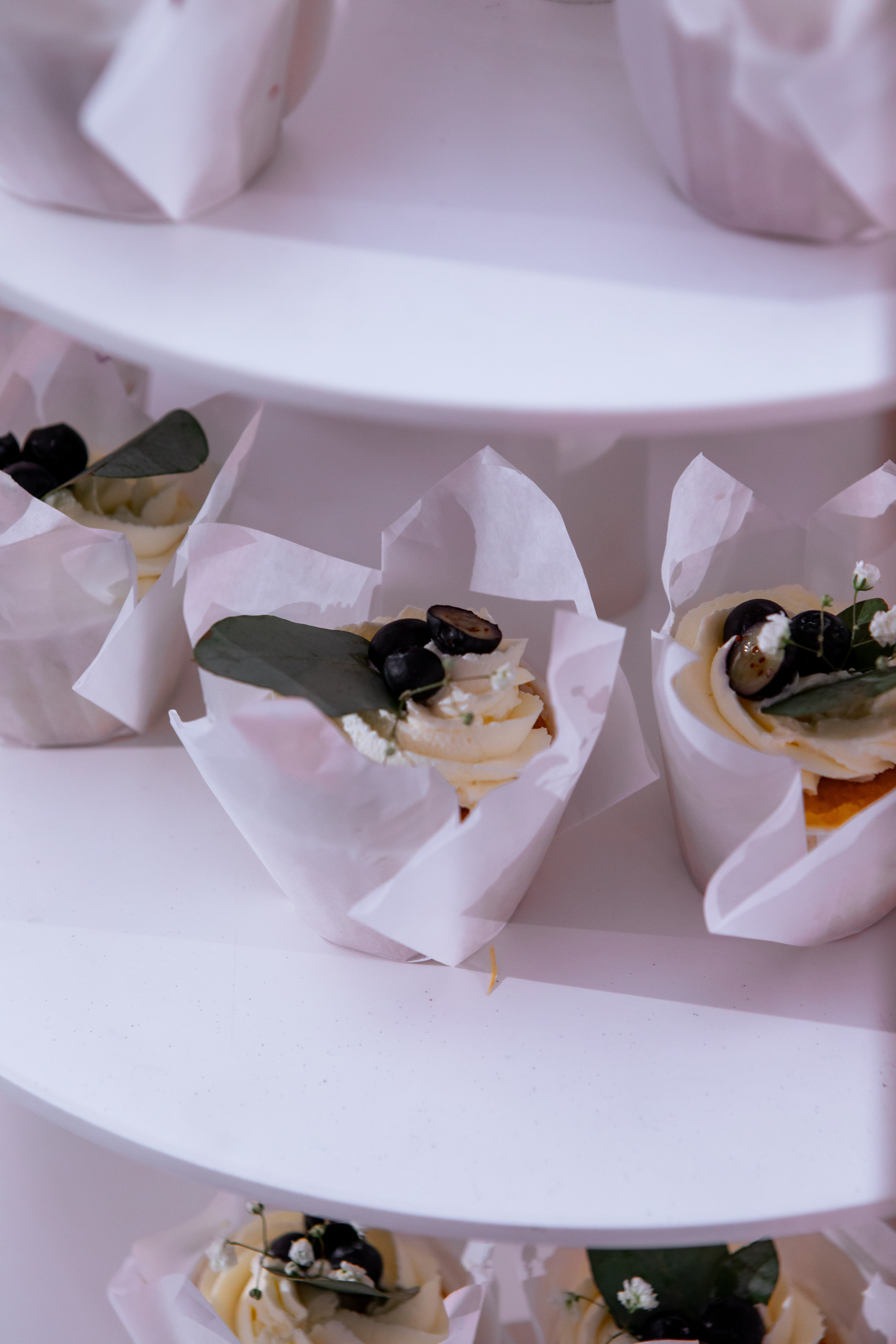 Даниил и Алина. Свадебный фотограф Витебск Минск