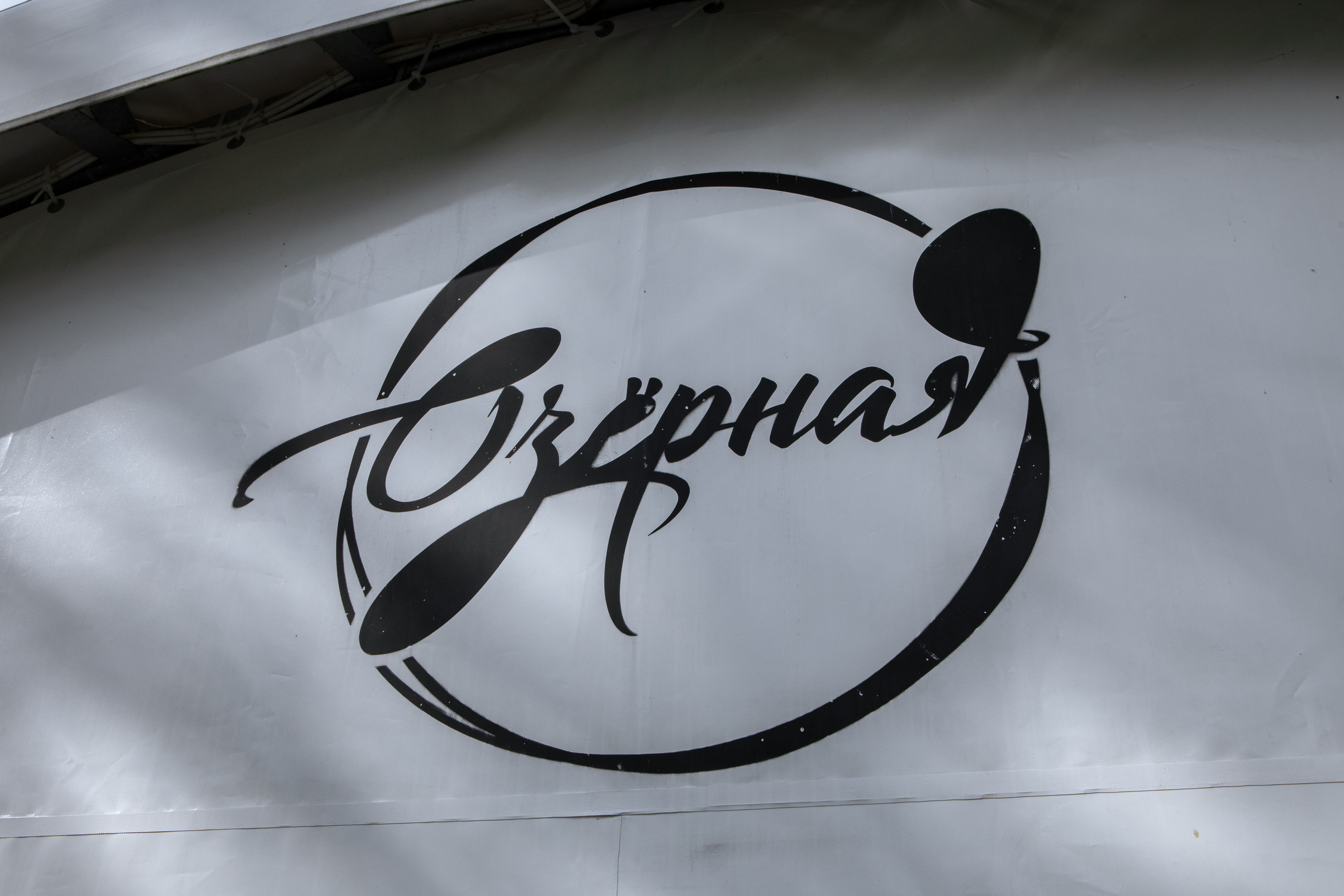 Даниил и Алина. Свадебный фотограф Витебск Минск