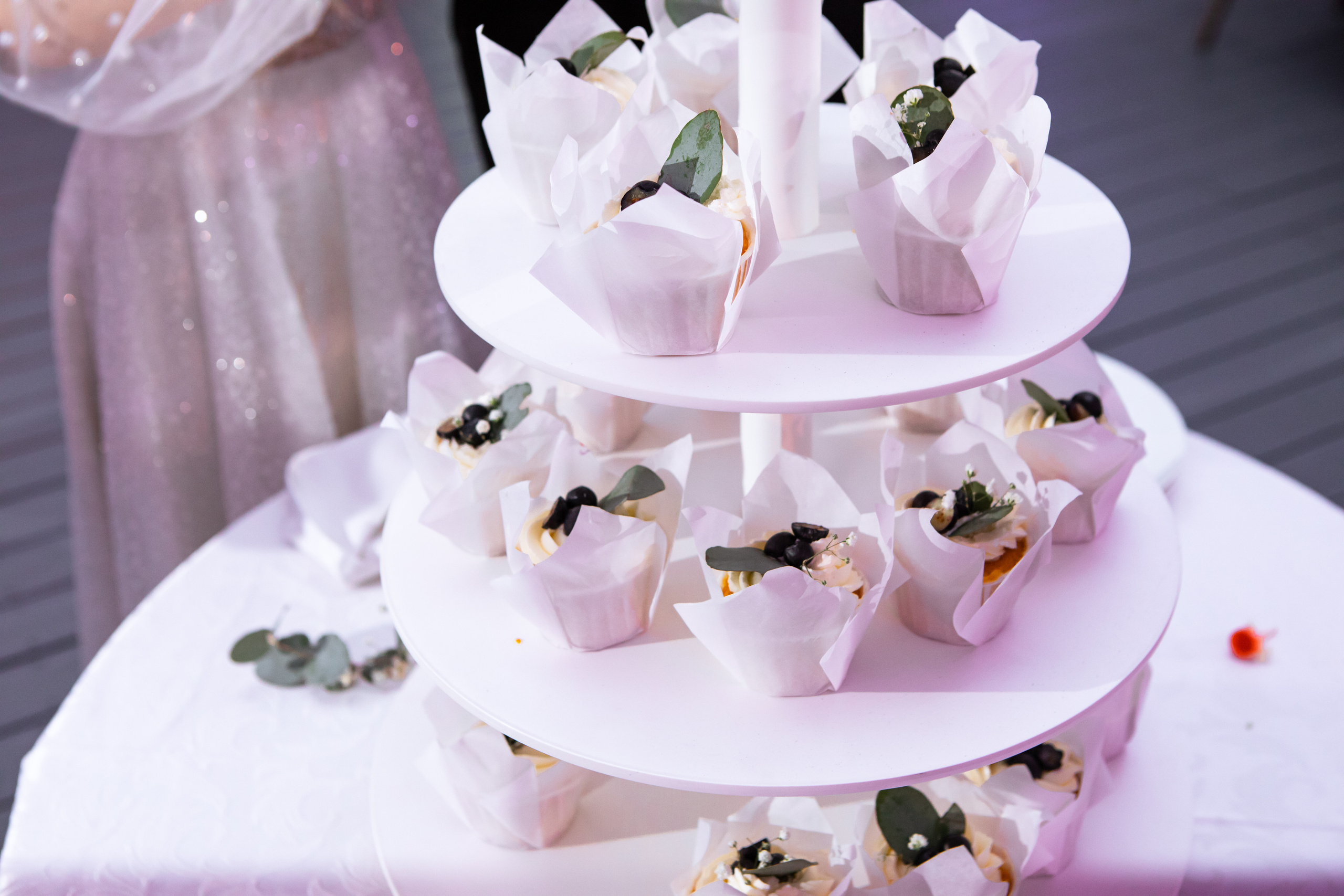 Даниил и Алина. Свадебный фотограф Витебск Минск