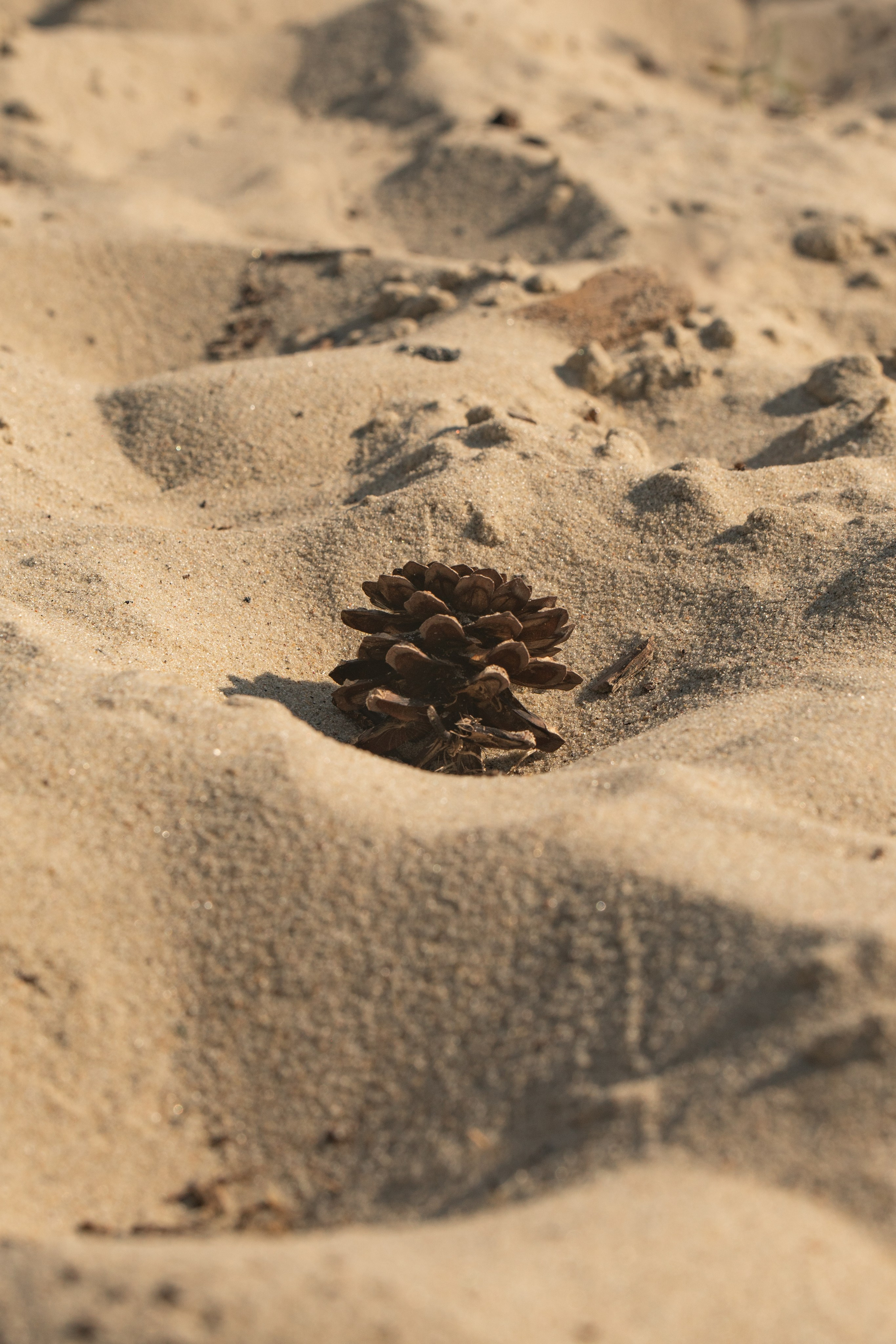 Калининградская область. Gusarov Travel Photography