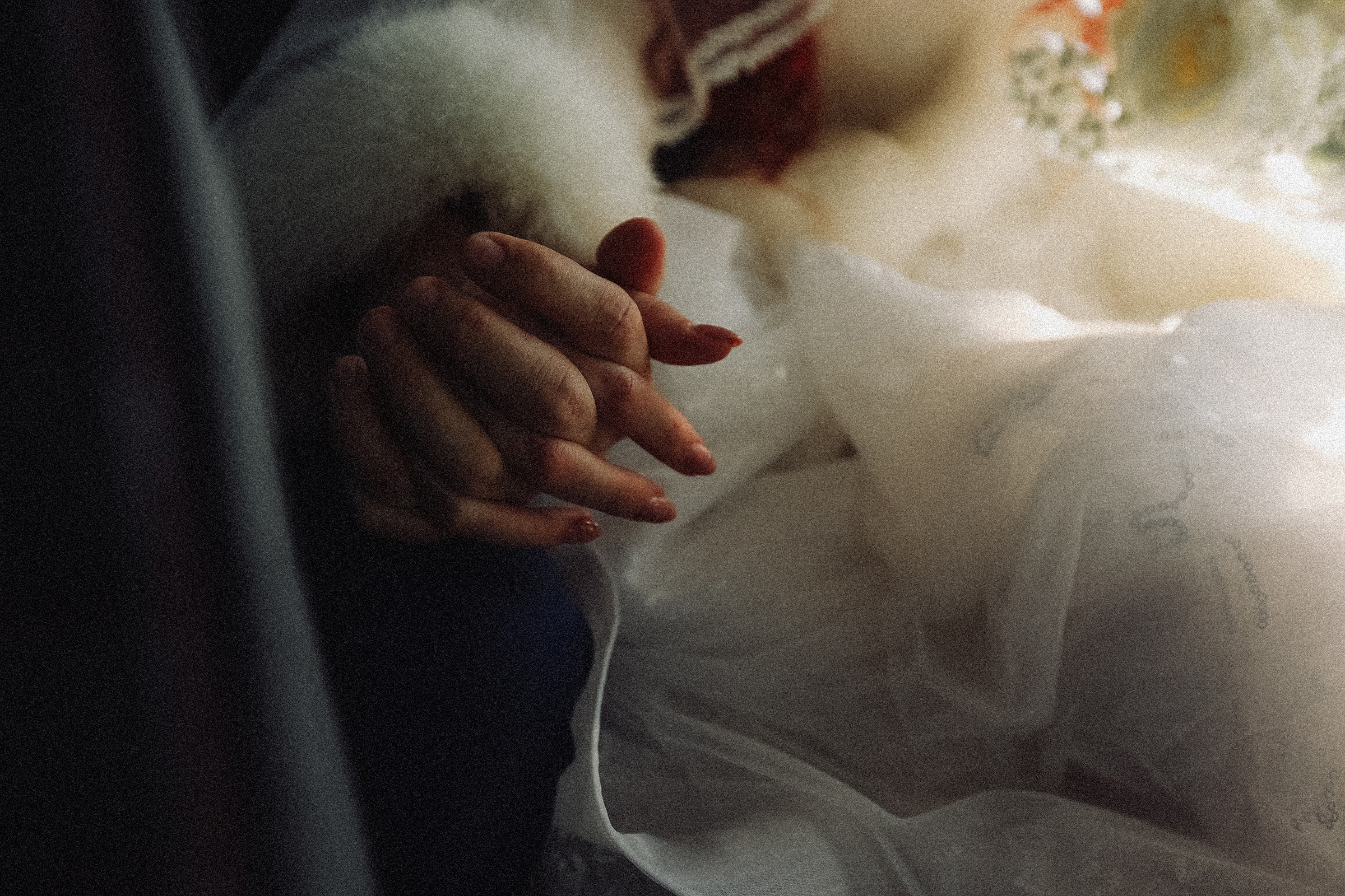 Павел и Диана. Алексеева Татьяна свадебный фотограф Краснодар, Краснодарский край