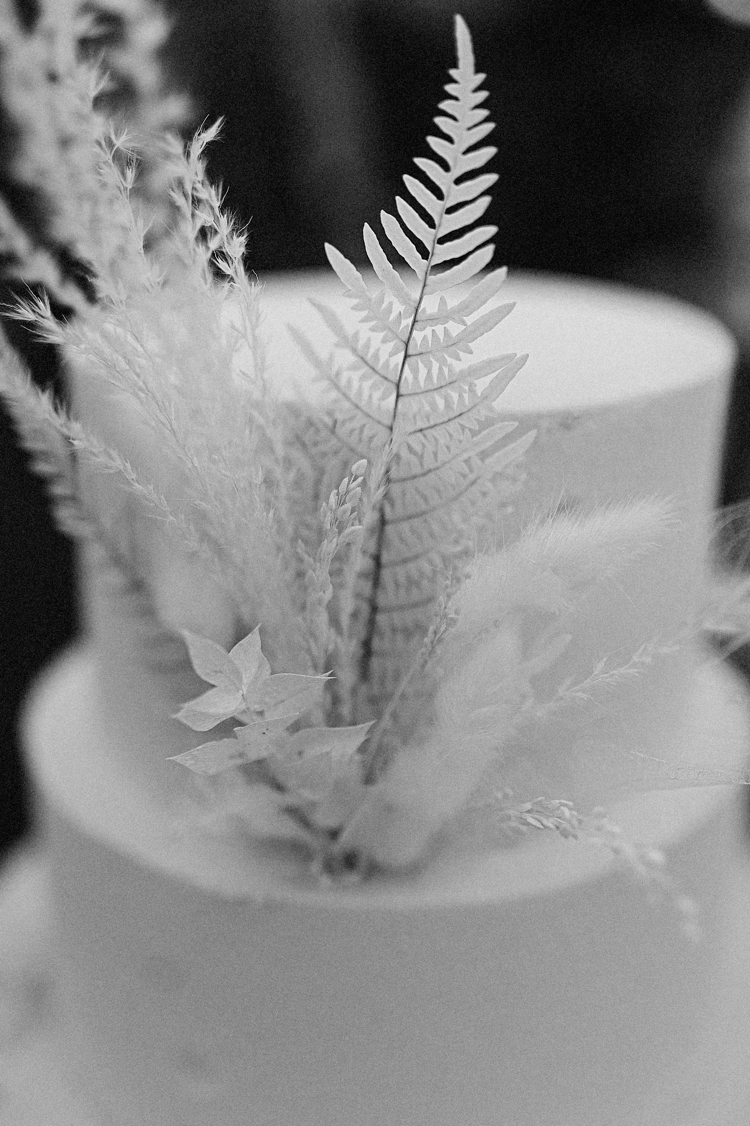 Алиса и Андрей. Катя Завьялова