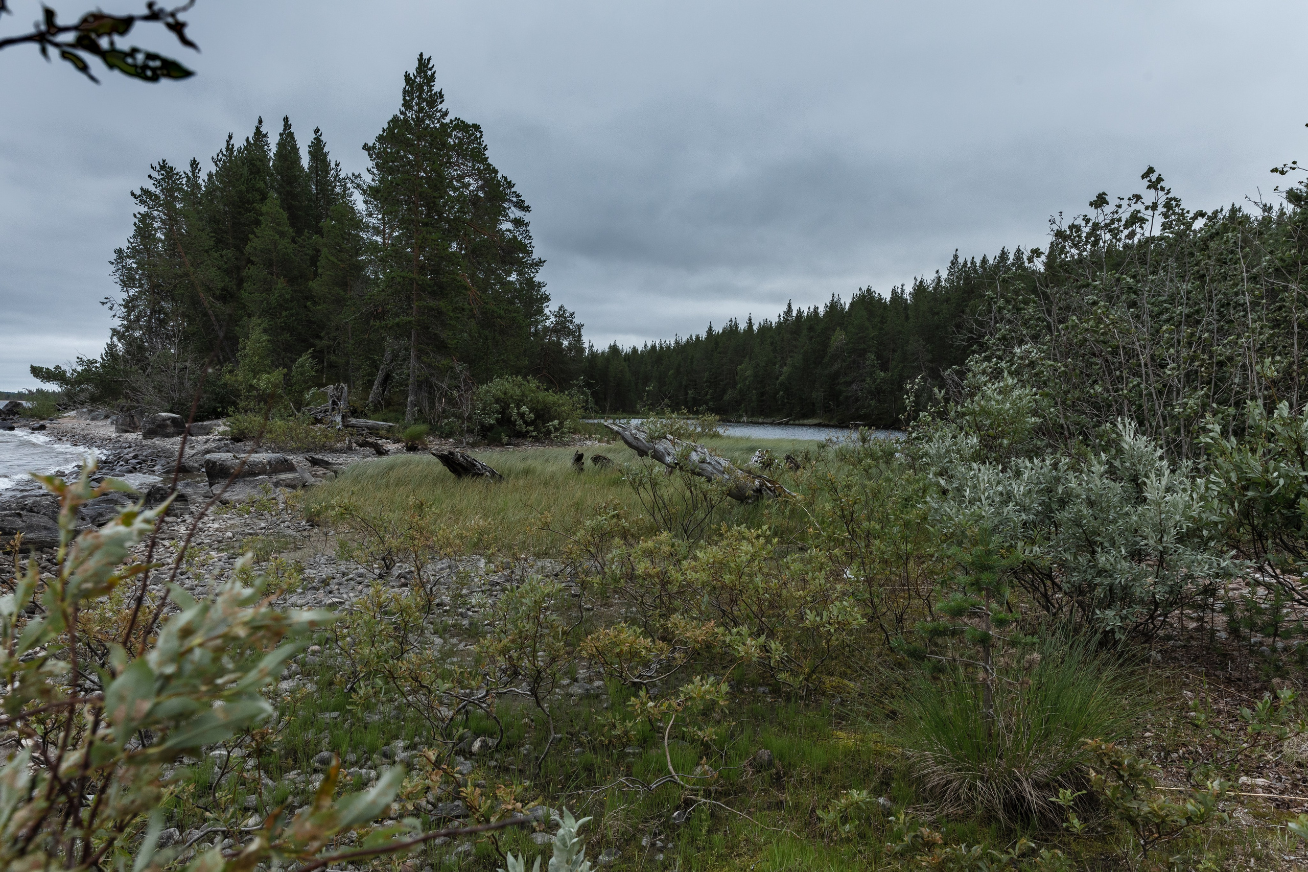 Оз. Колвицкое. Фотографии