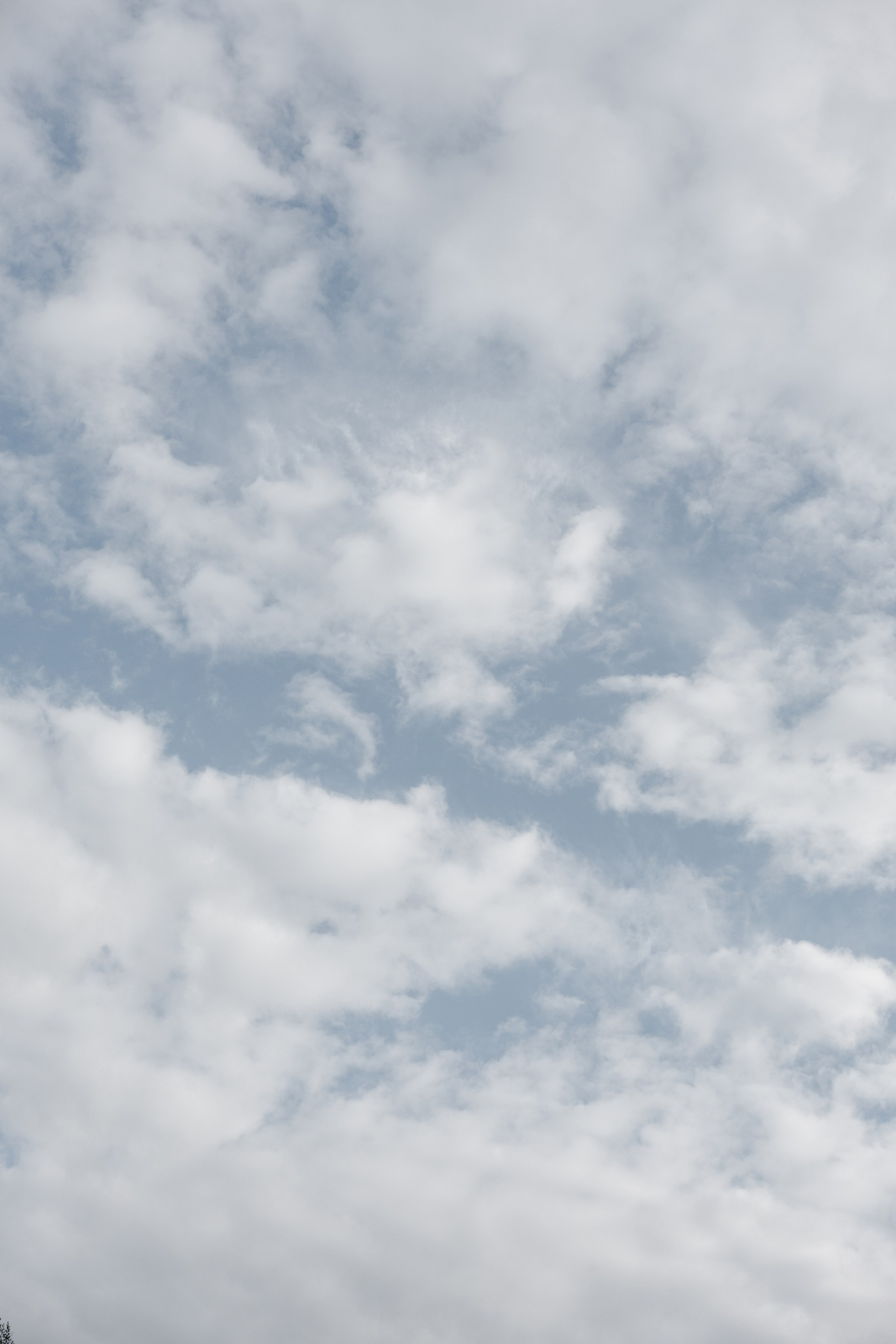 ГРЕНАДА. Фотограф в Красноярске