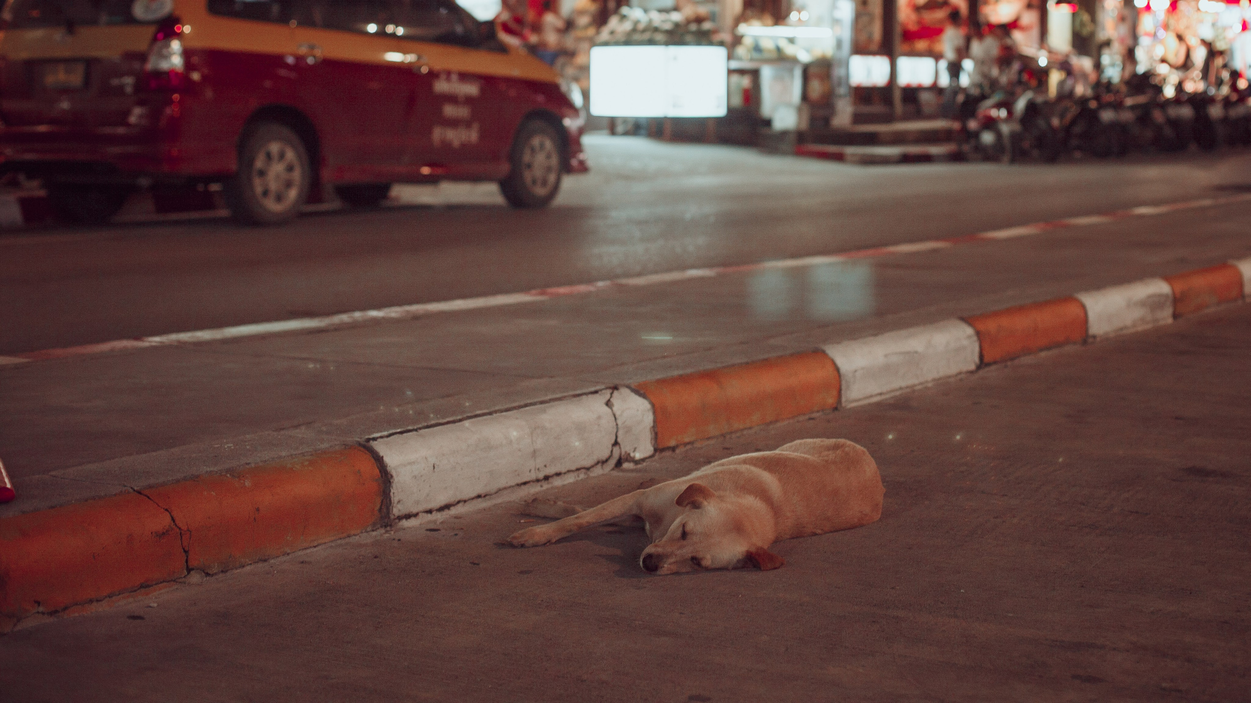 Самуи Собачий остров. Ню Фотограф Александр Касымов Москва, фотосессии, Химки фотограф