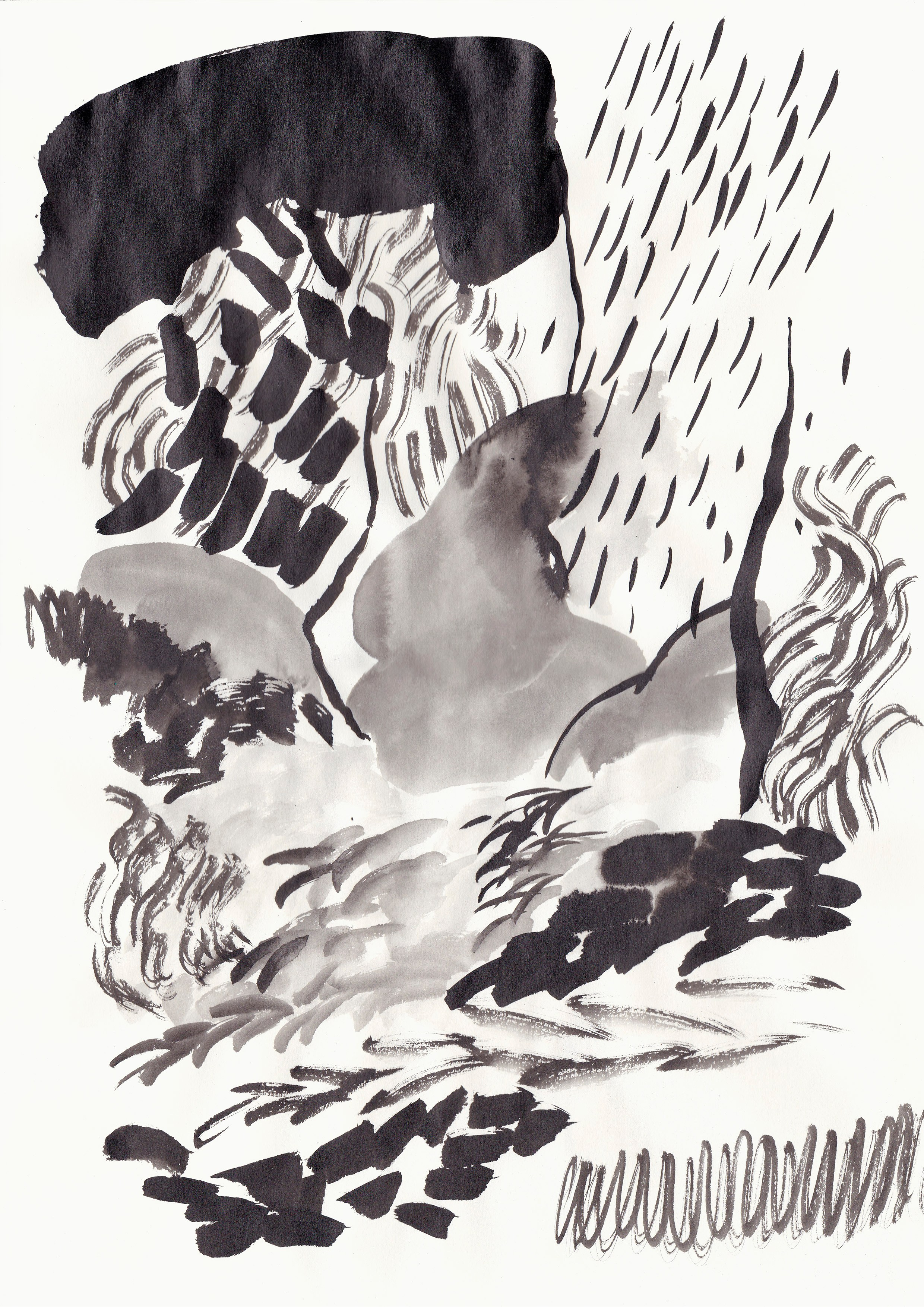 Ink Drawings. Portfolio Birdcrush