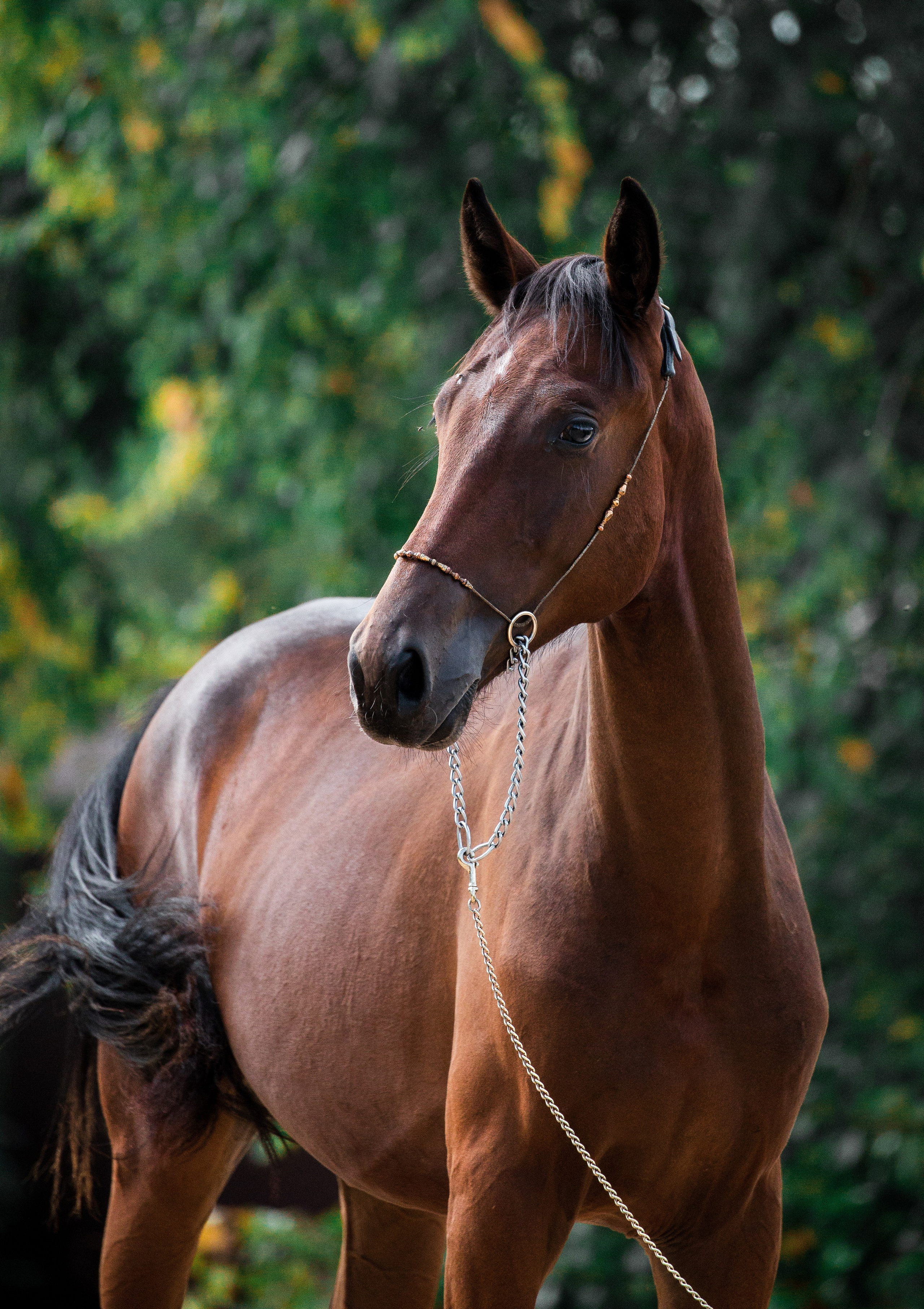 На природе. Фотограф-анималист Ксендзова Кристина