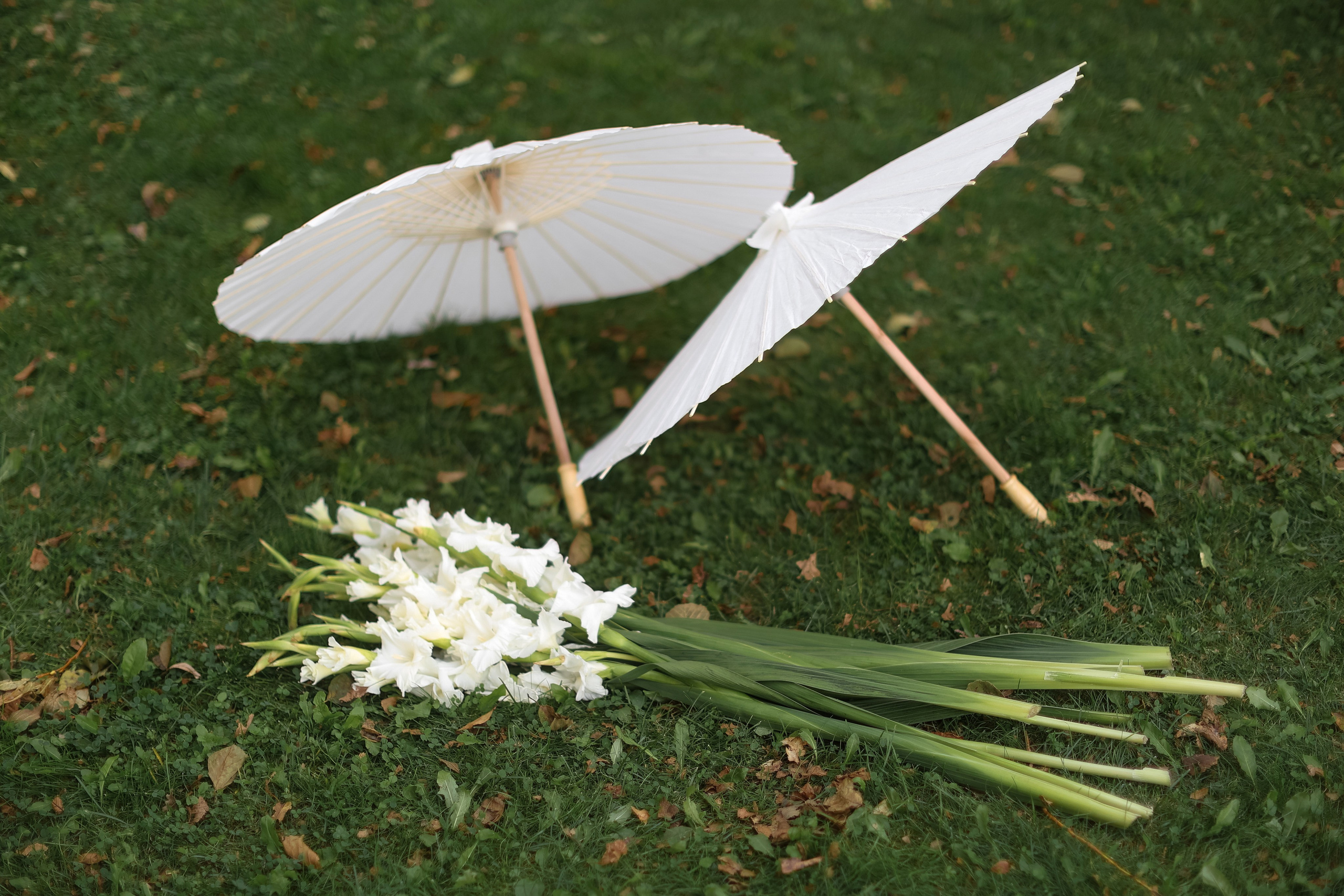 Владислав и Мария. Свадебные фотограф и видеограф в Минске Голдосовы Марина и Вадим