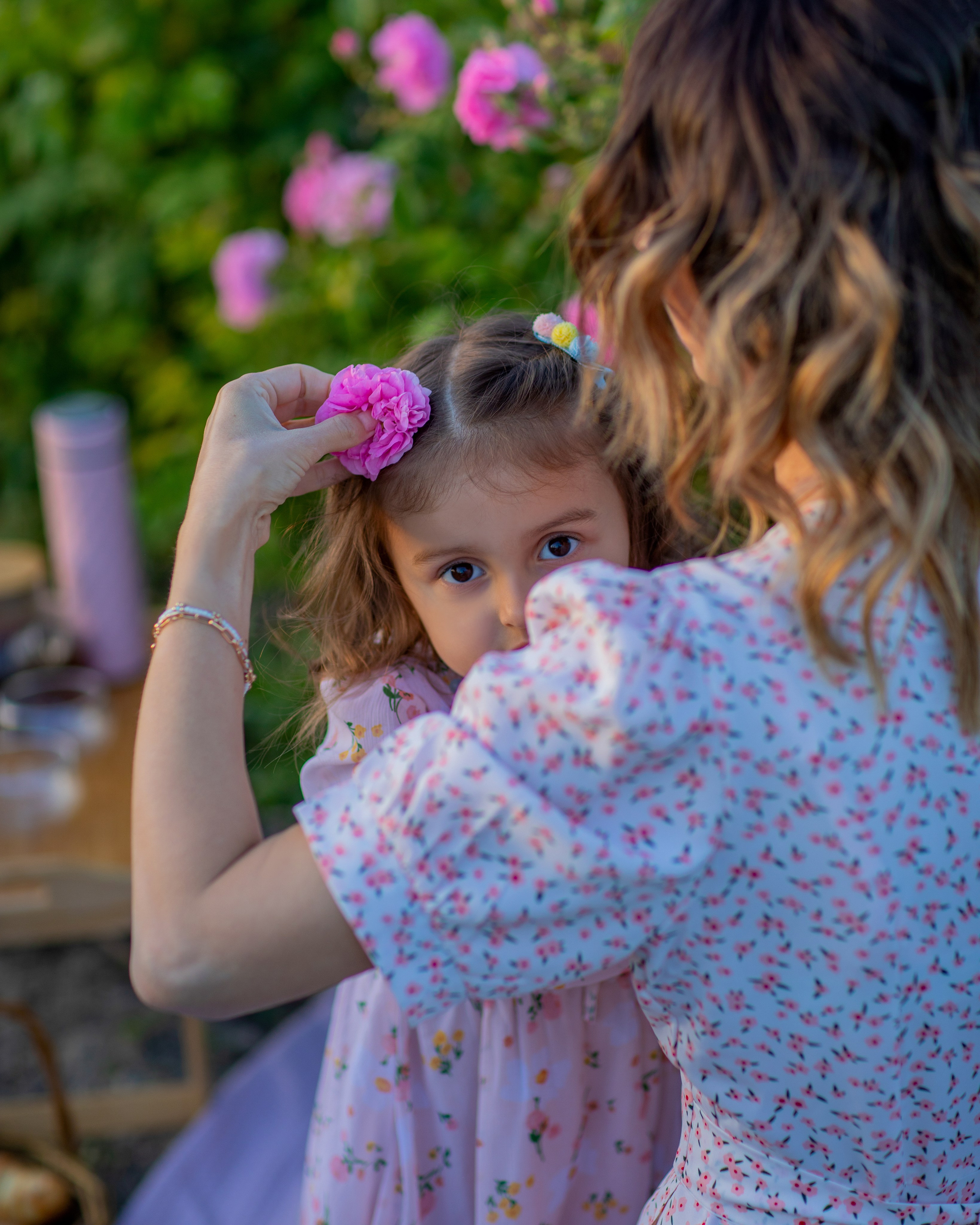 Чайная роза. Фотограф Севастополь/Крым Светлана Евтушенко