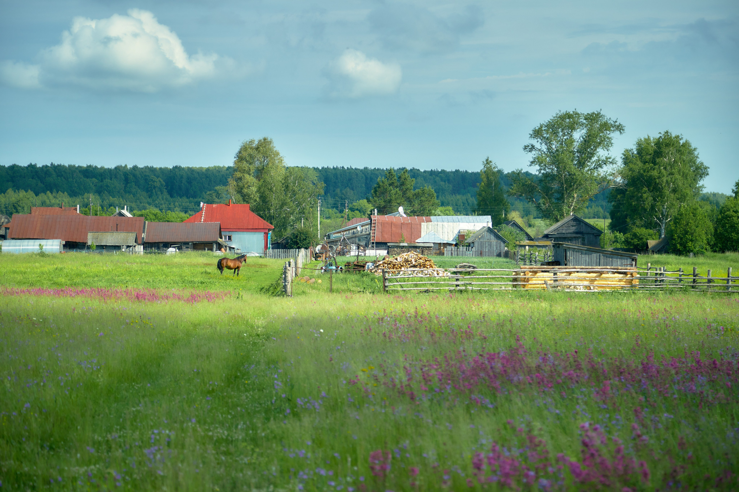 Пейзажная фотосъемка. Владимир Суздалов (ProMaXe) — Портретный фотограф, тематические фотосессии в Чебоксарах