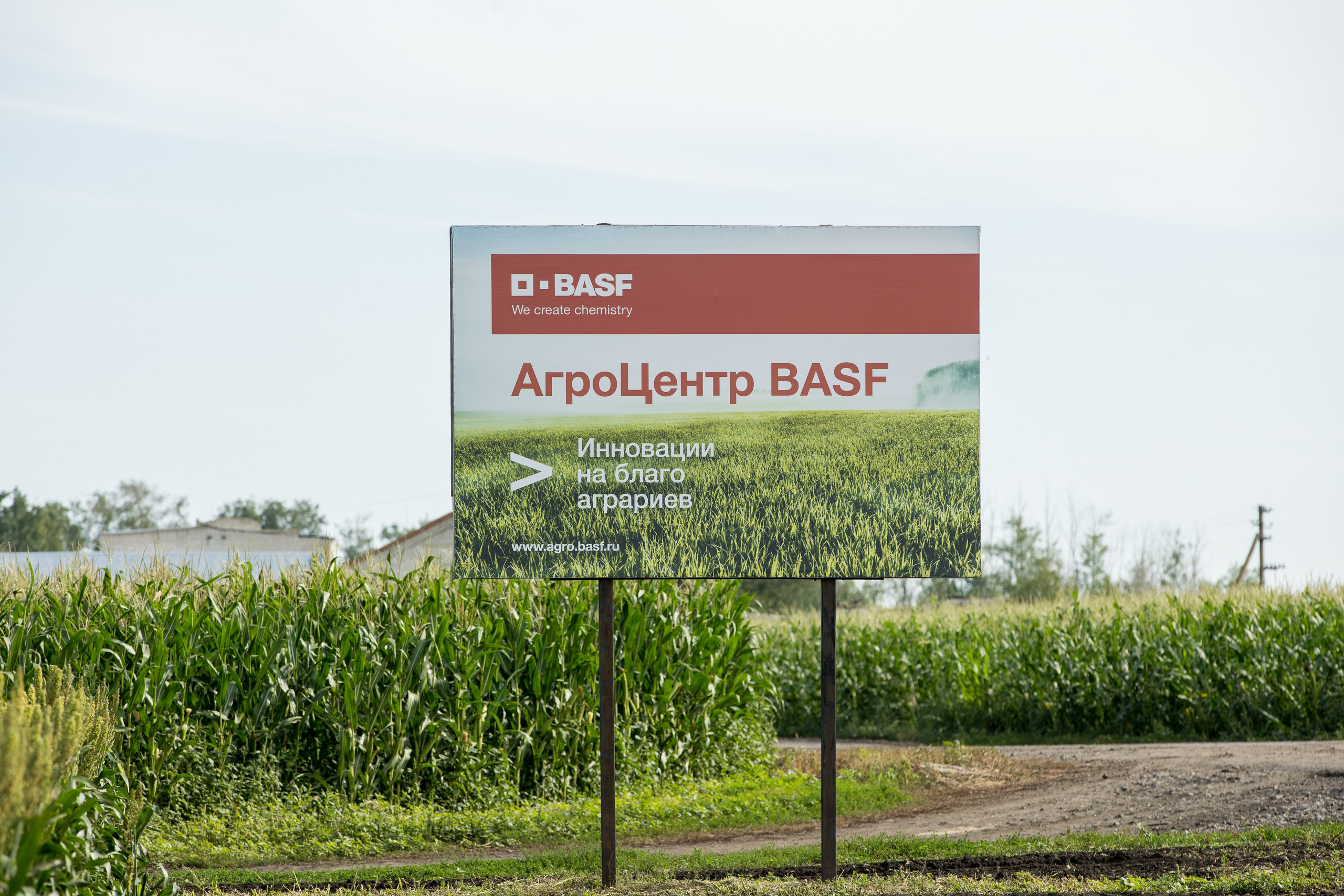 Решения для сельского хозяйства BASF 16.08.2022. Владислав Волков | Фотография и видеосъемка в Воронеже
