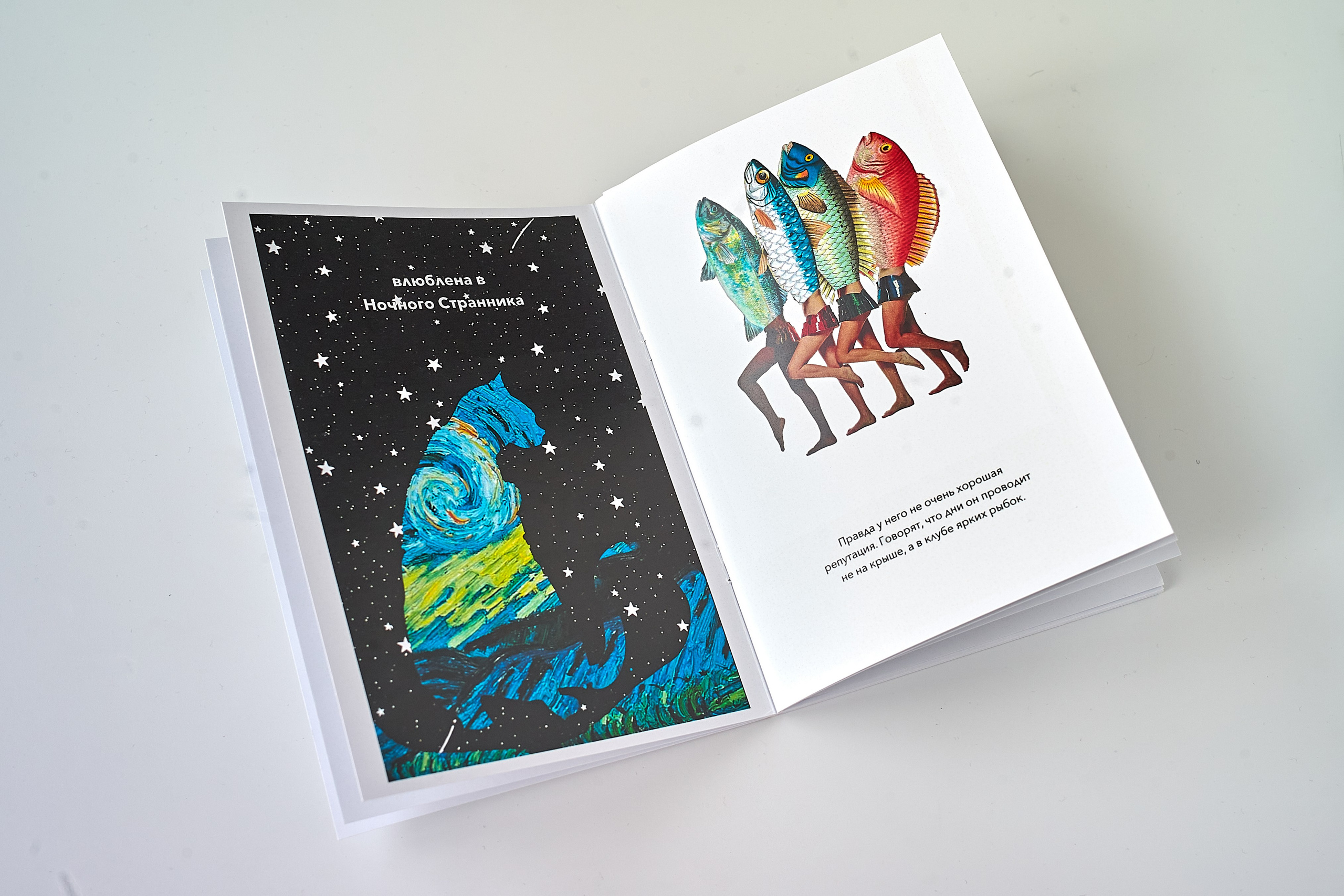 Guide to the Magical Forest