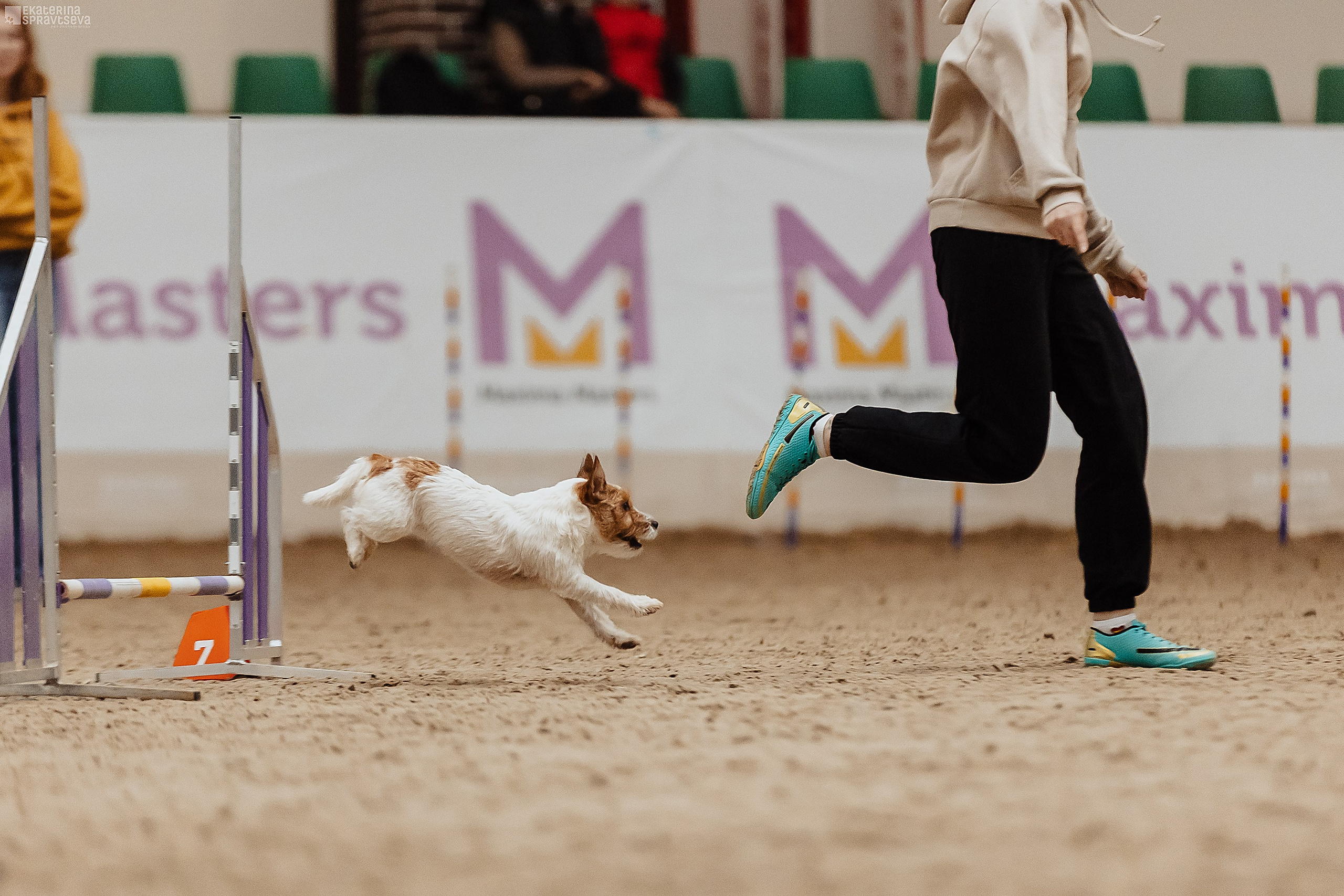 ЧРКФ Аджилити в Максима. Фотограф Анималист Екатерина Справцева в Нижнем Новгороде