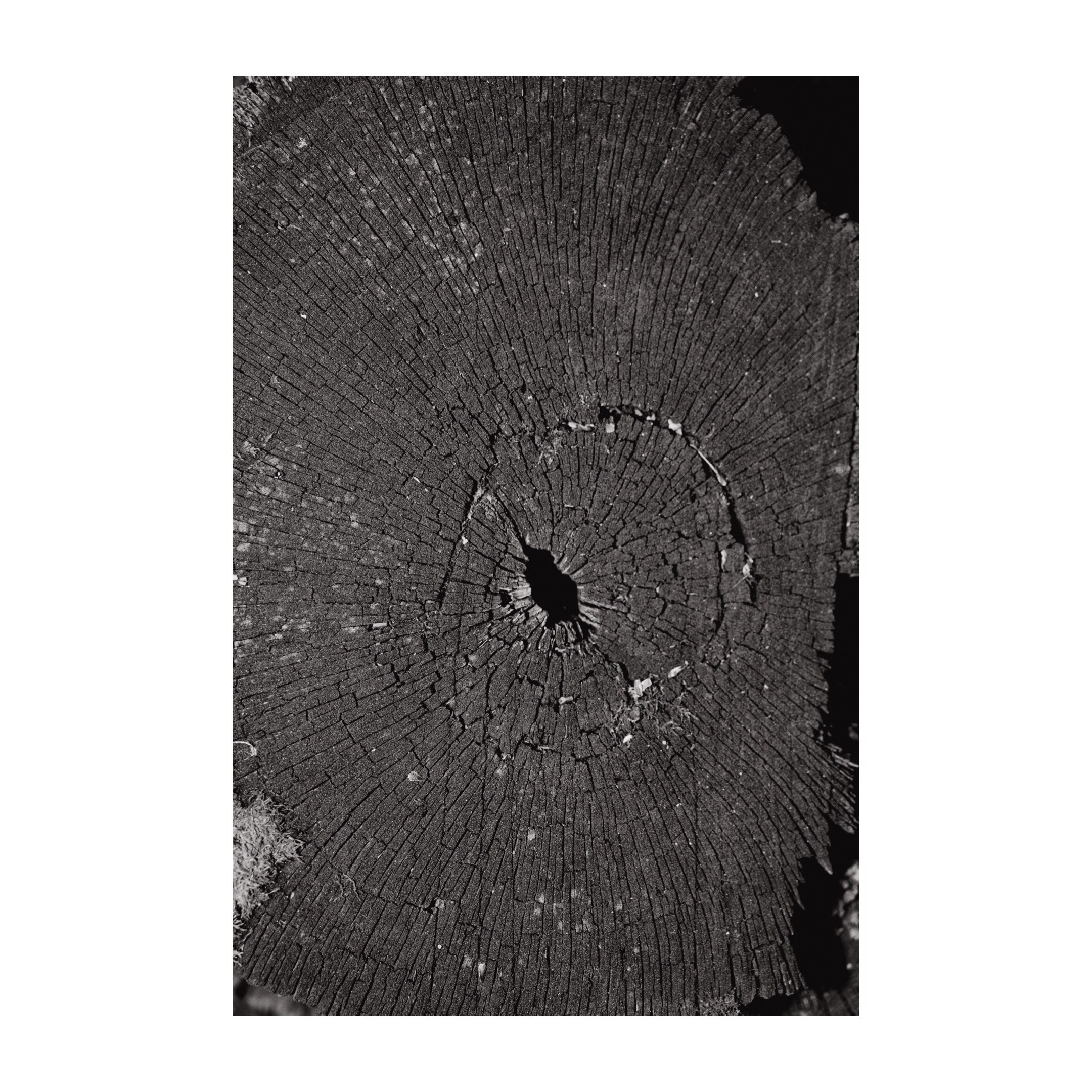 Творческие съемки. ТАТИ | Татьяна Тихонова | фотограф | Тольятти Самара