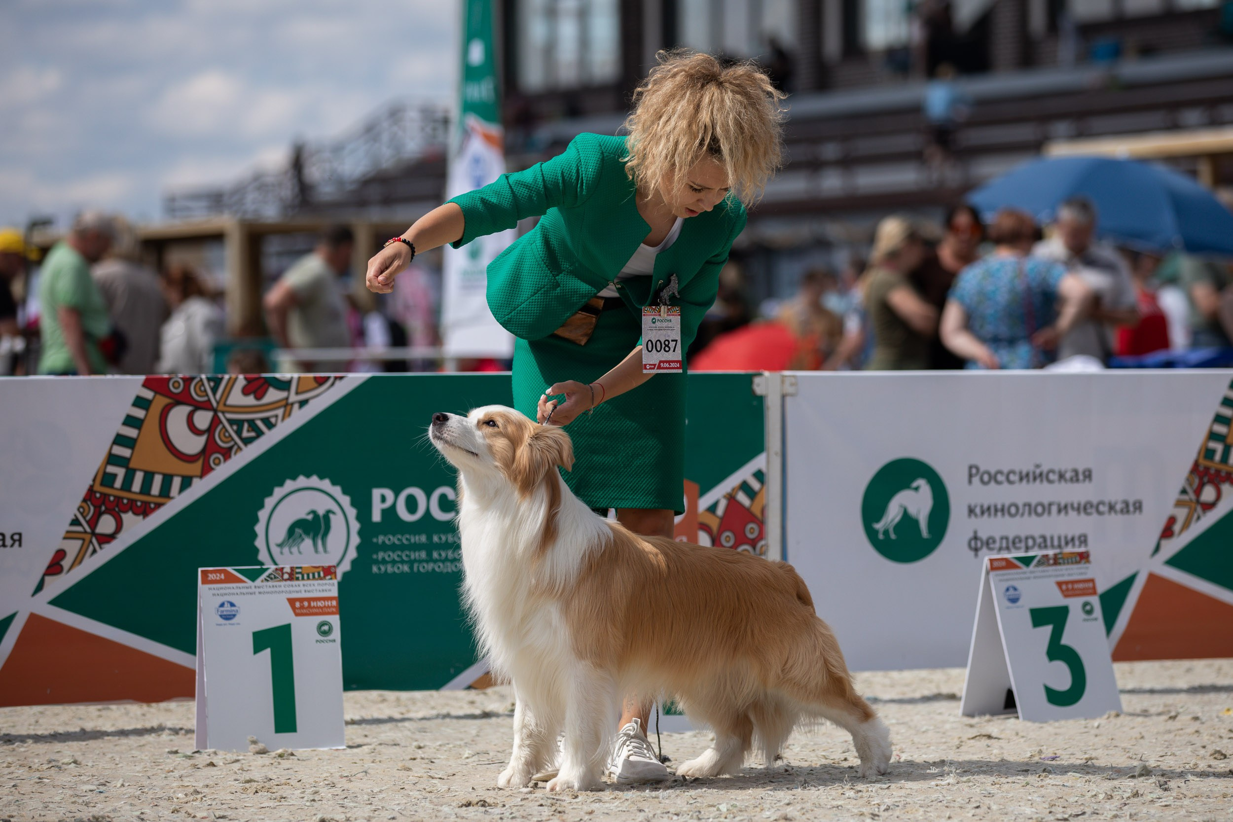Репортаж с выставки Россия. Фотограф-анималист в Москве и Московской области Татьяна Фролова
