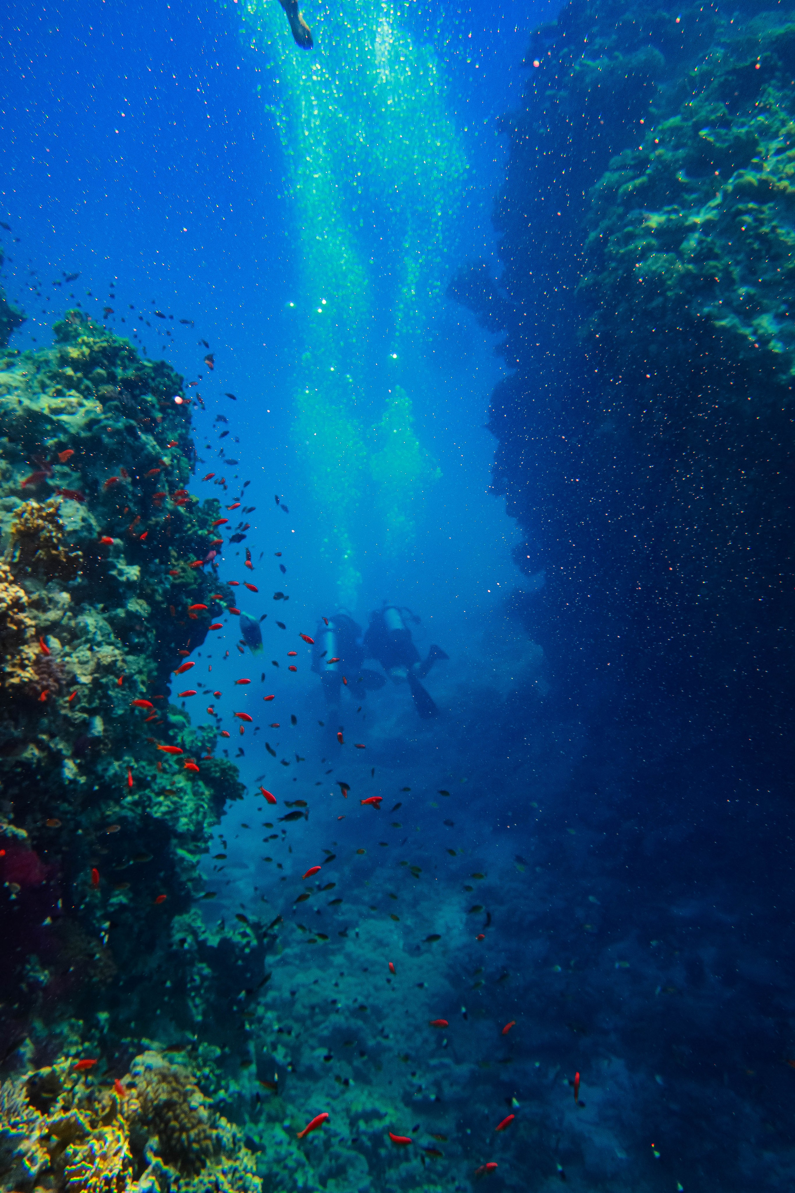 Fish. Фотограф Светлана Голицына