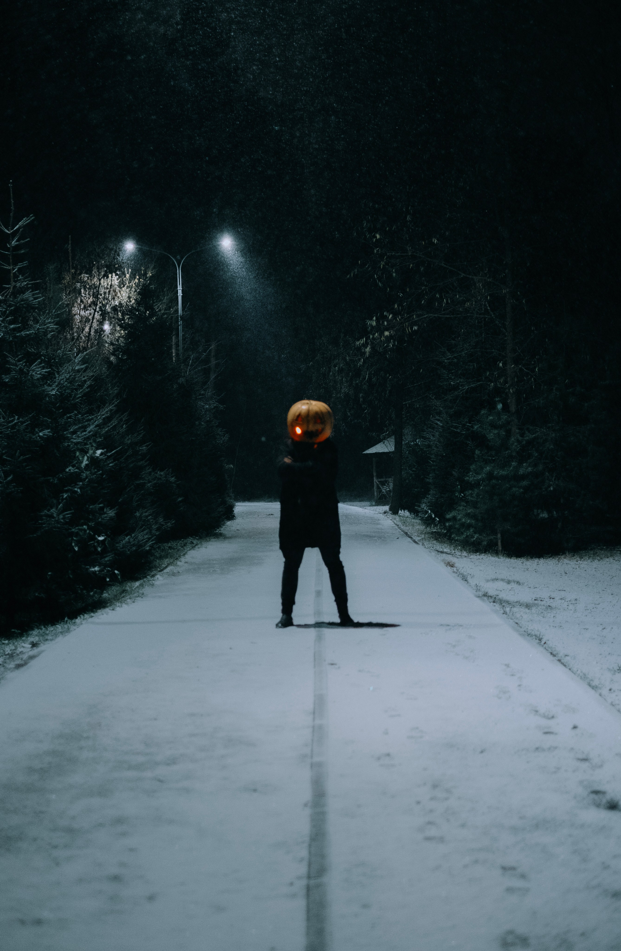 «Избранник тыквенной грядки». Фотограф (Москва, Мытищи)— Комова Анастасия