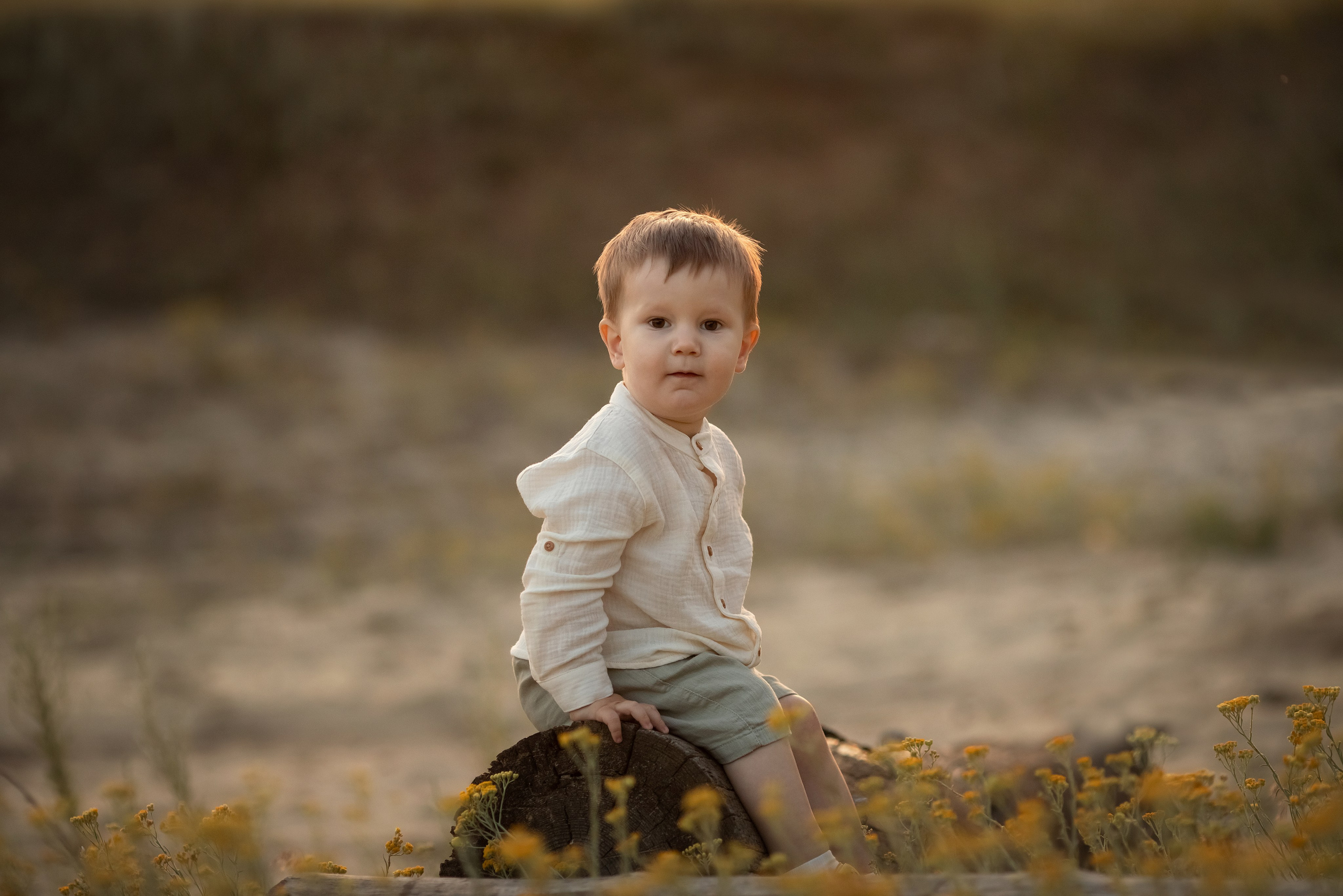 Солнечный лес. Семейный и детский фотограф в Саратове Полина Коткина