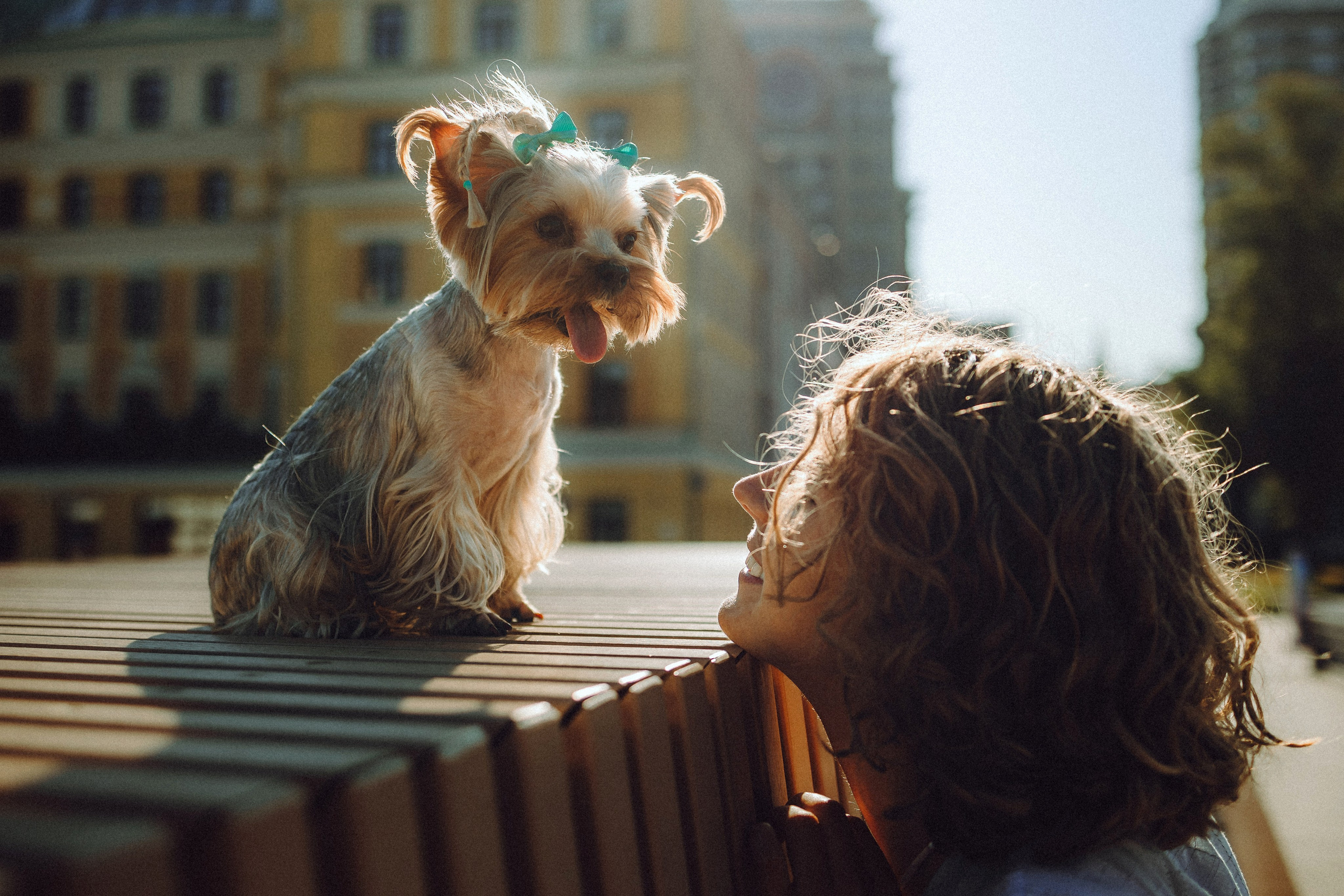 Дженни, Оливия и их семья