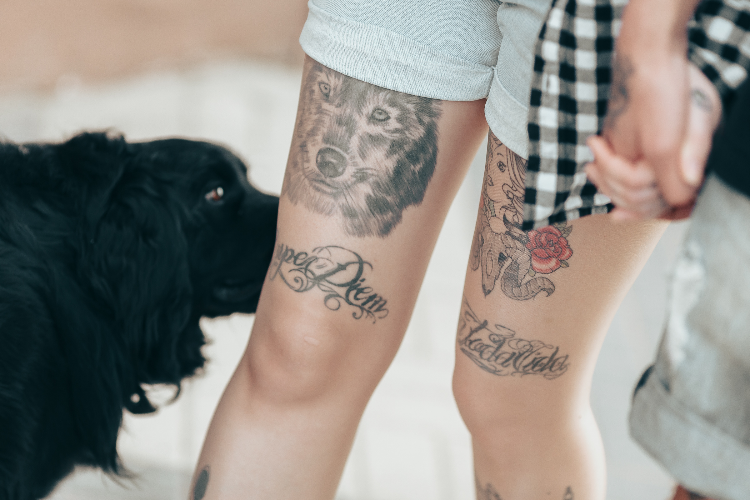 Леша и Алина. Свадебный фотограф в Краснодаре Николай Крауз