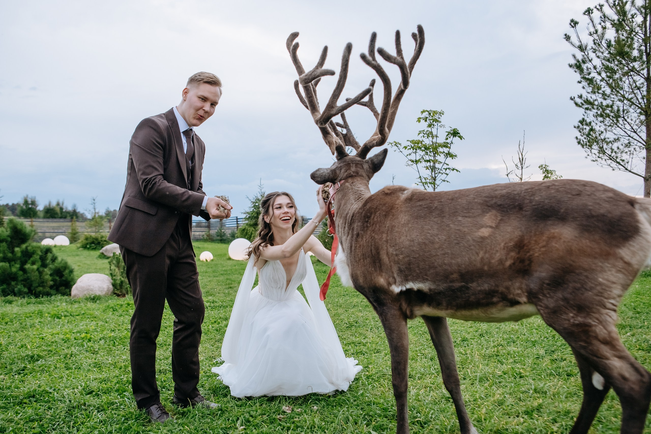 Организация свадьбы — Свадебное агентство СПБ Luna Agency