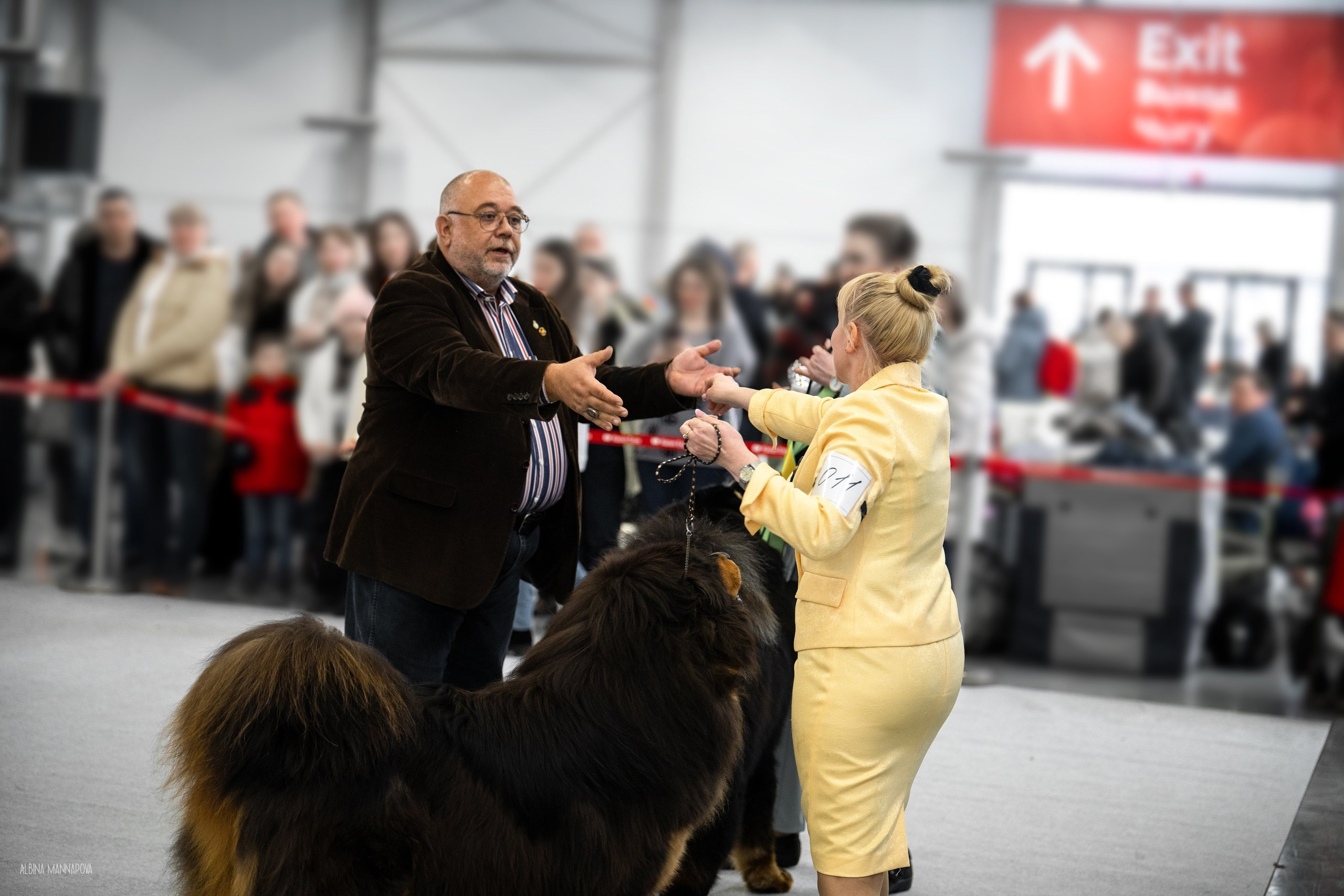 Собаки. FASHION ФОТОГРАФ КАЗАНЬ