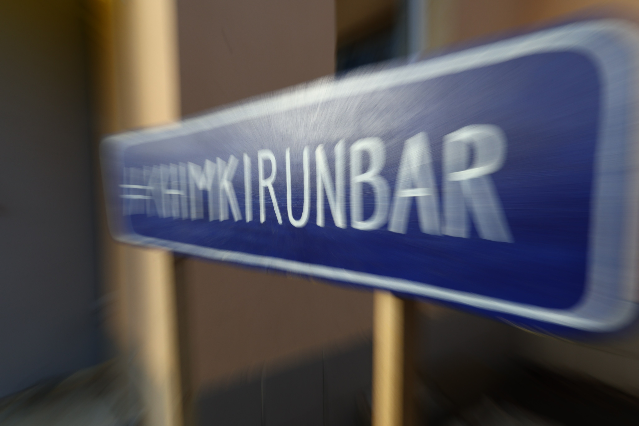 Два лепестка Химкинского марафона у дома, 23.11.25. Фотограф Сергей Ловкий