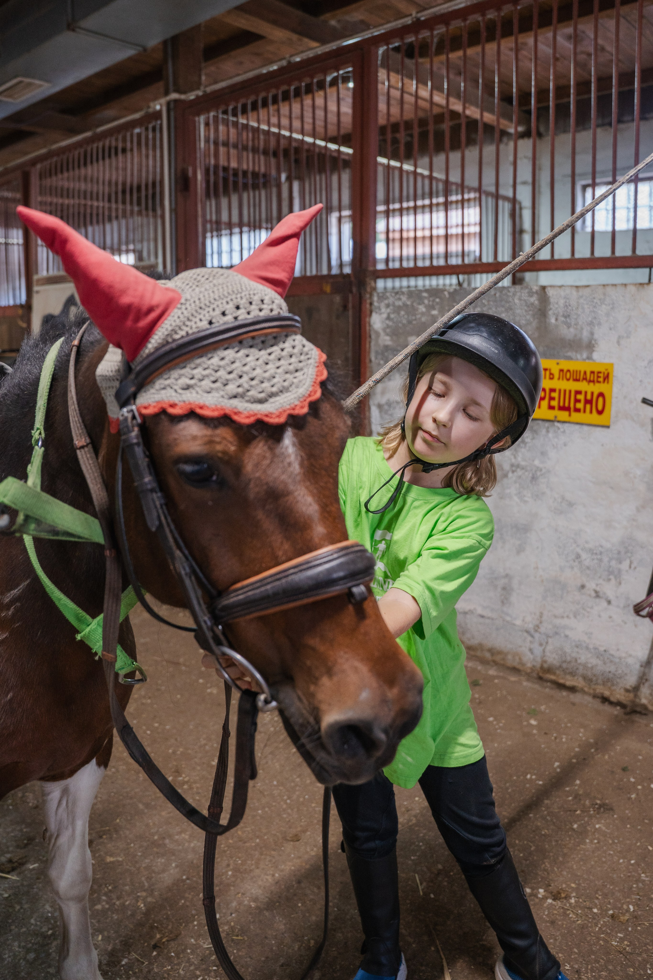 Конное занятие. Главная