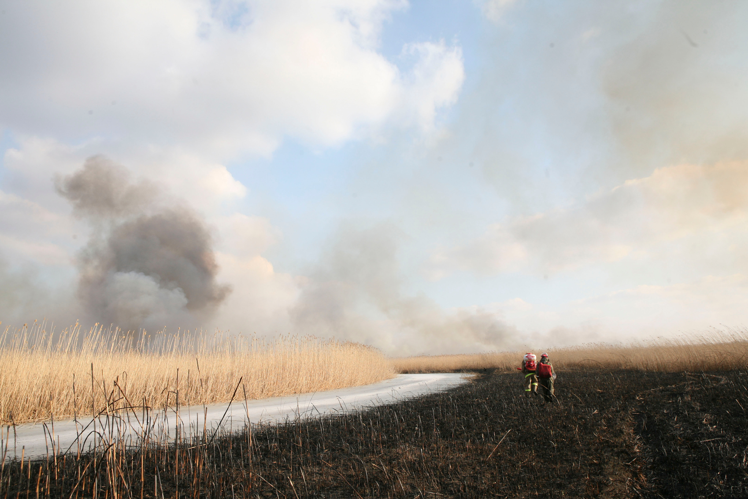 Травяные пожары. Фотограф Анна Барне