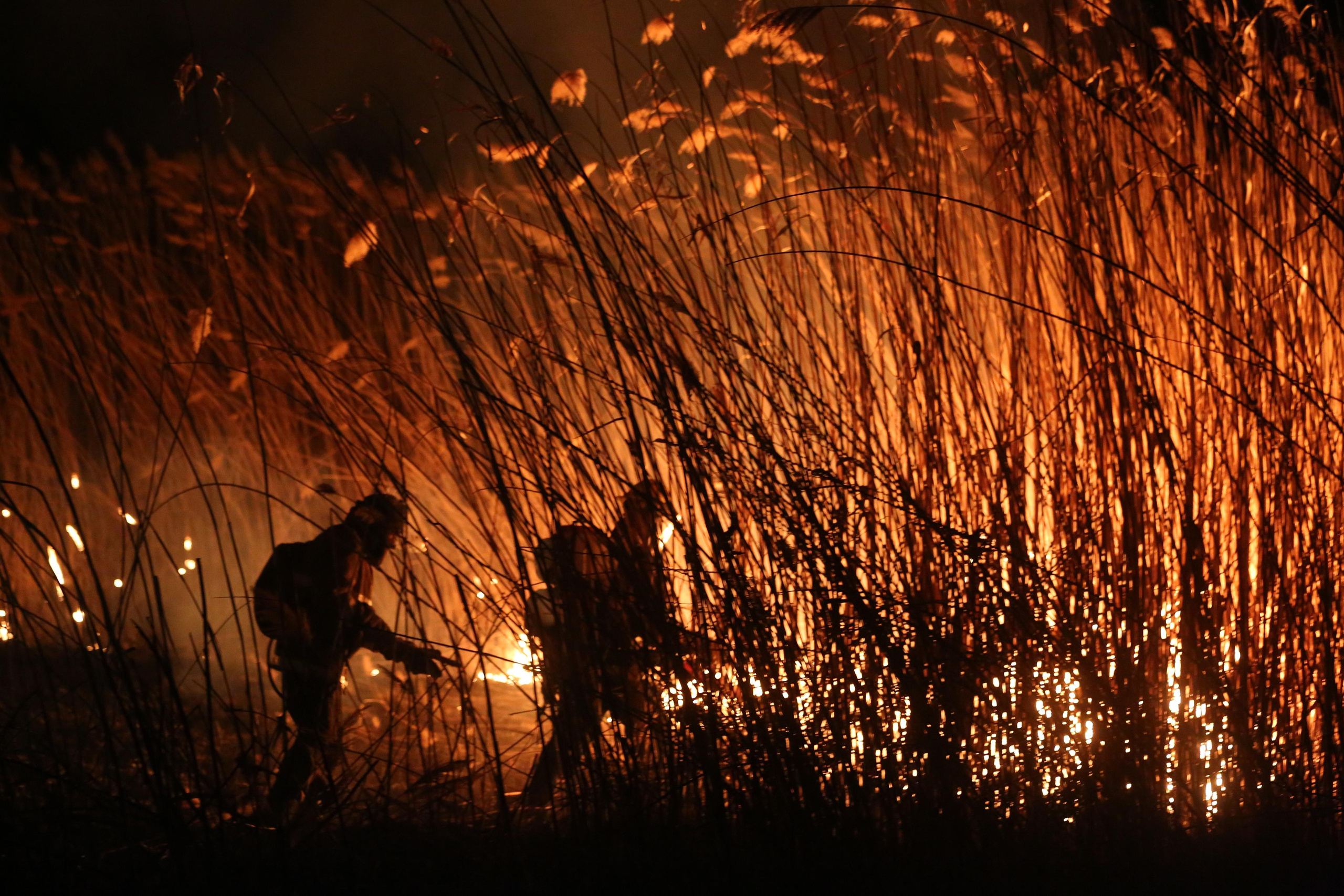 Травяные пожары. Фотограф Анна Барне