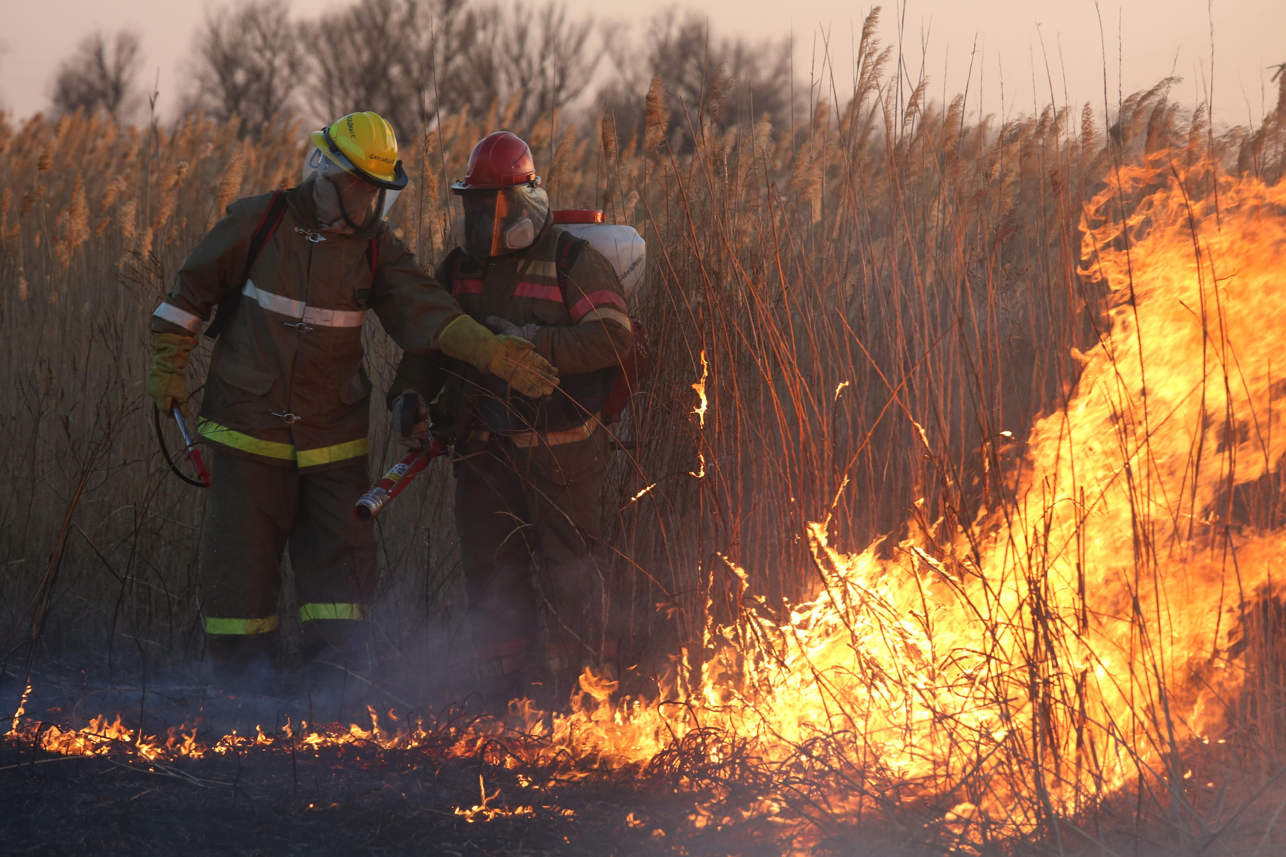 Травяные пожары. Фотограф Анна Барне