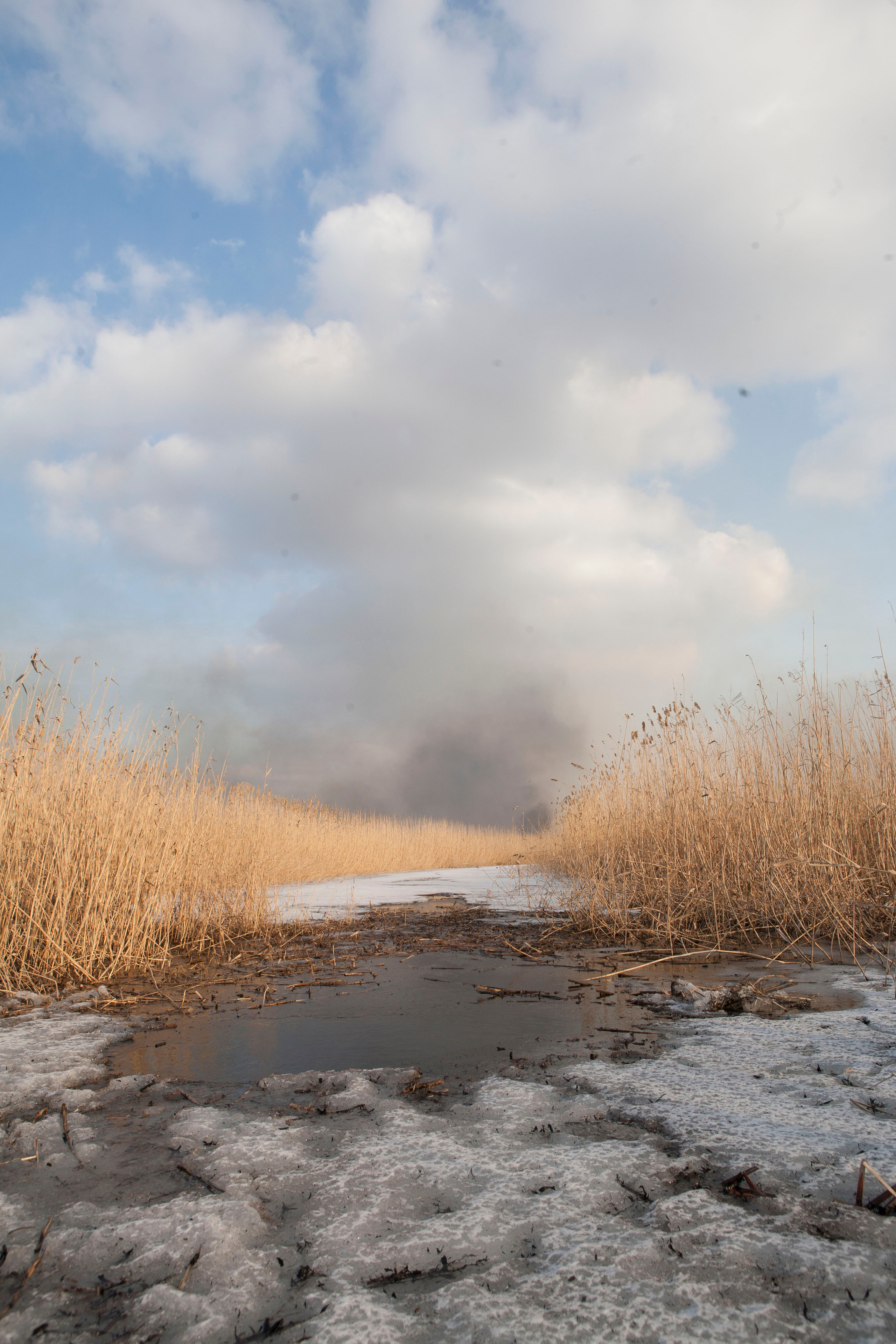 Травяные пожары. Фотограф Анна Барне