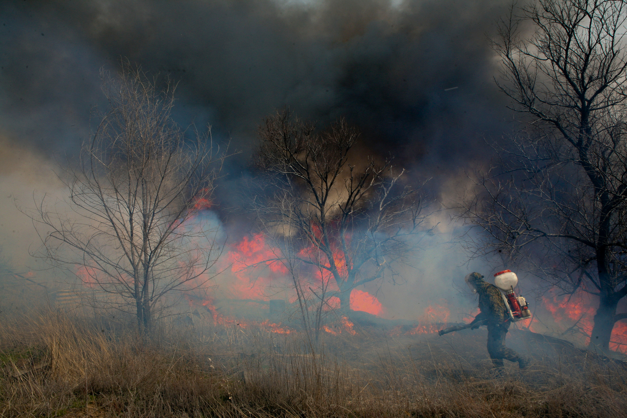 Травяные пожары. Фотограф Анна Барне