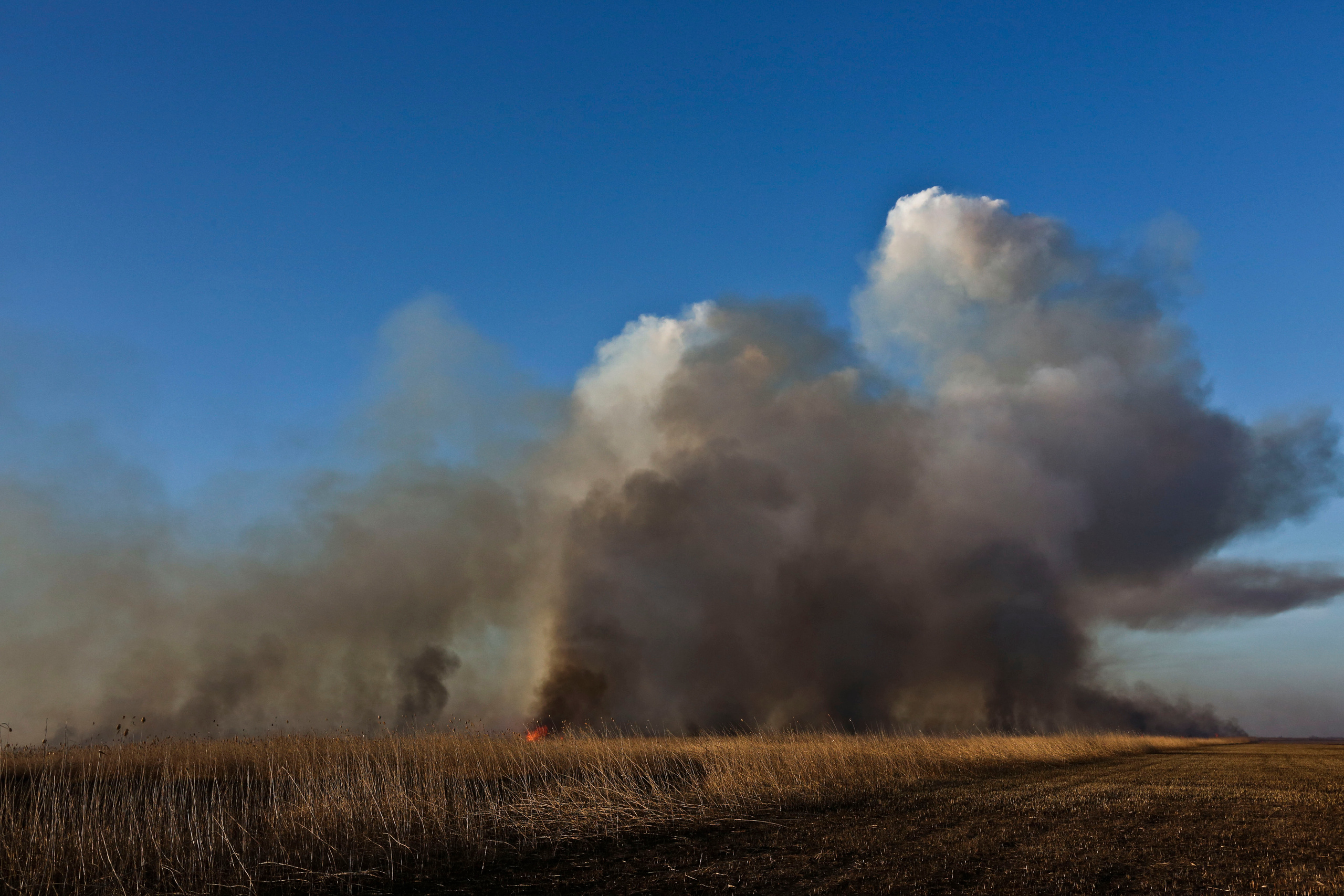 Травяные пожары. Фотограф Анна Барне