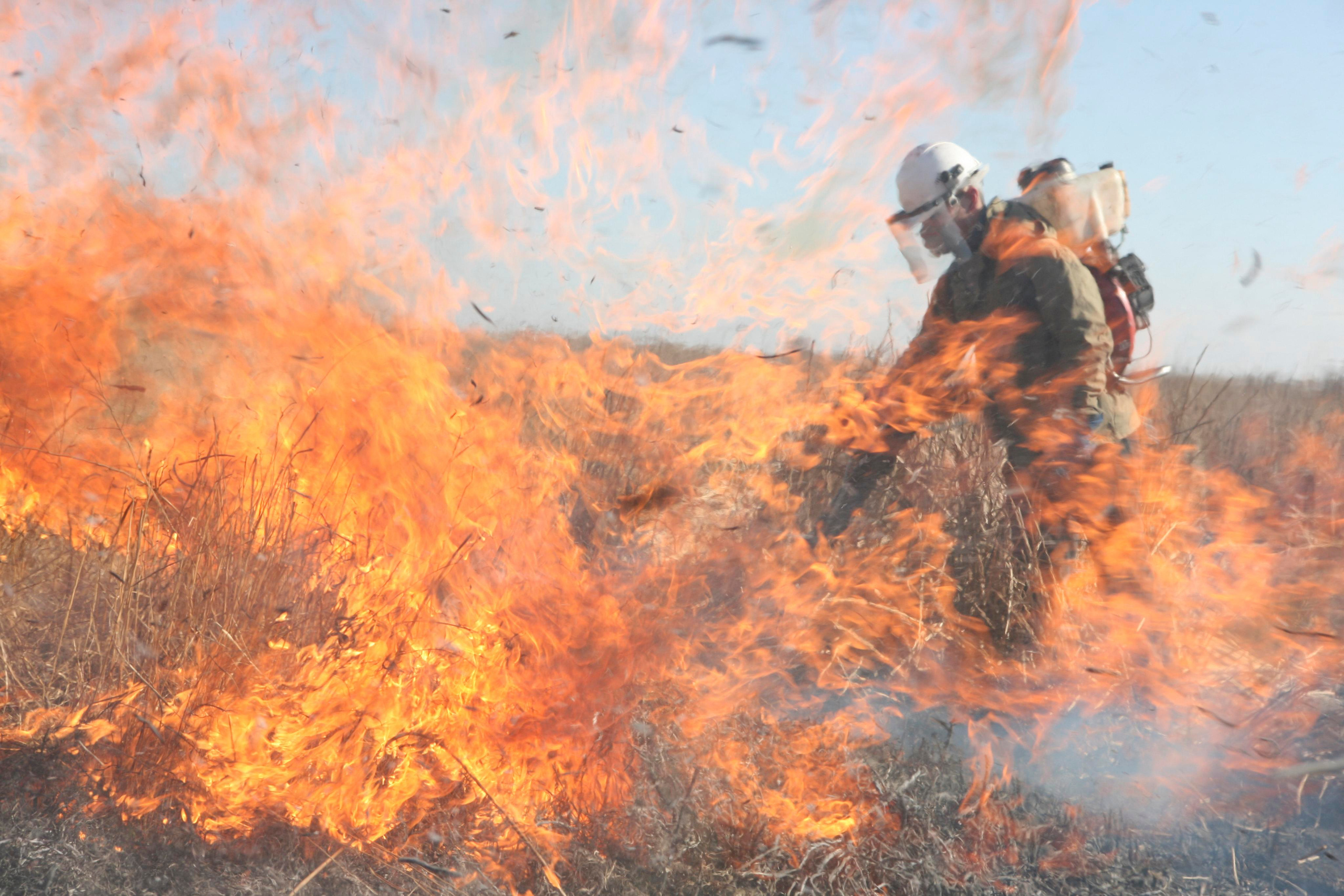 Травяные пожары. Фотограф Анна Барне