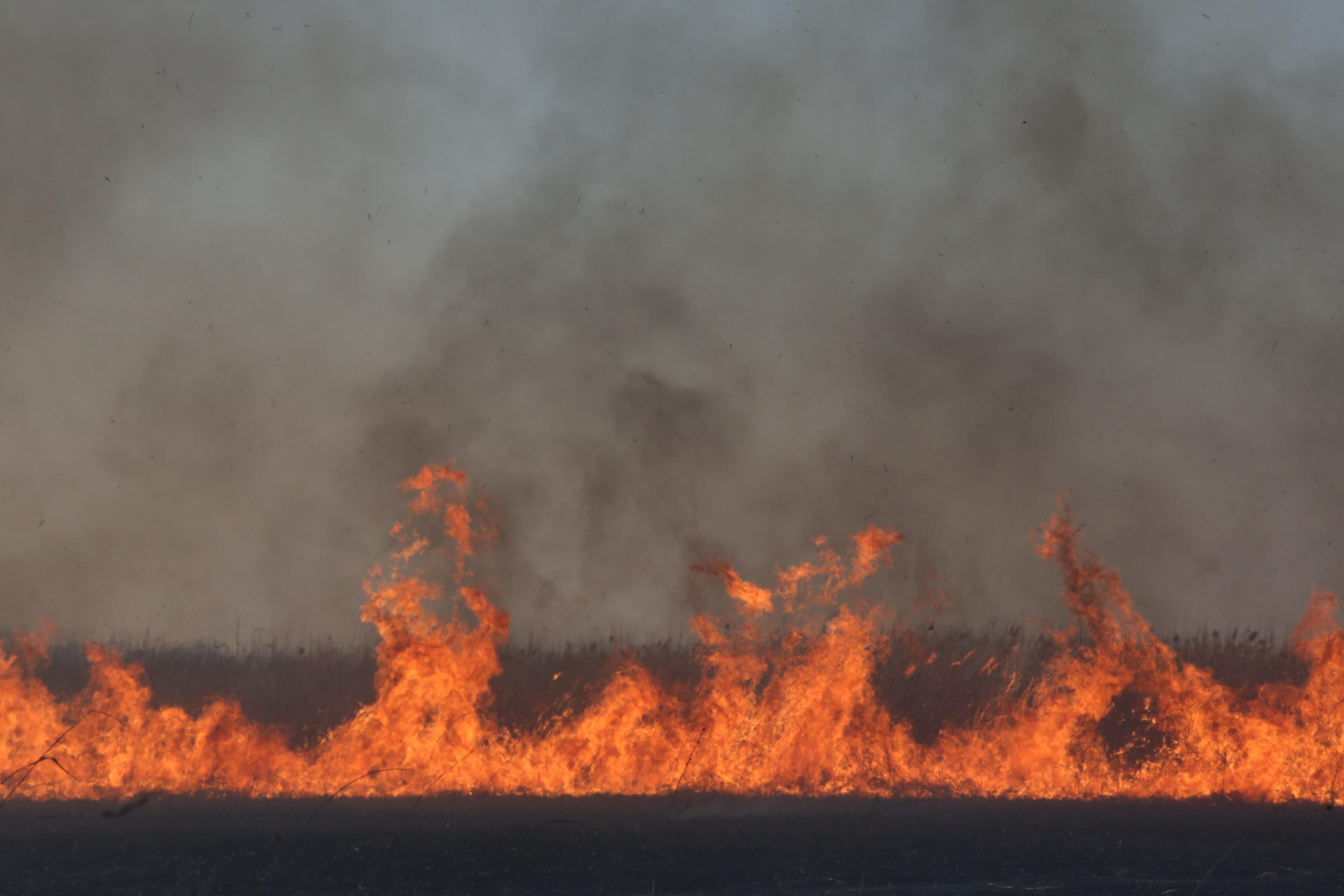 Травяные пожары. Фотограф Анна Барне