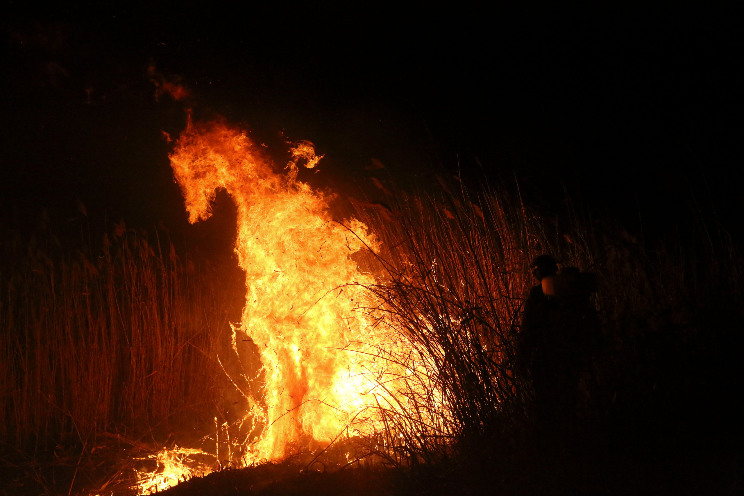 Травяные пожары. Фотограф Анна Барне