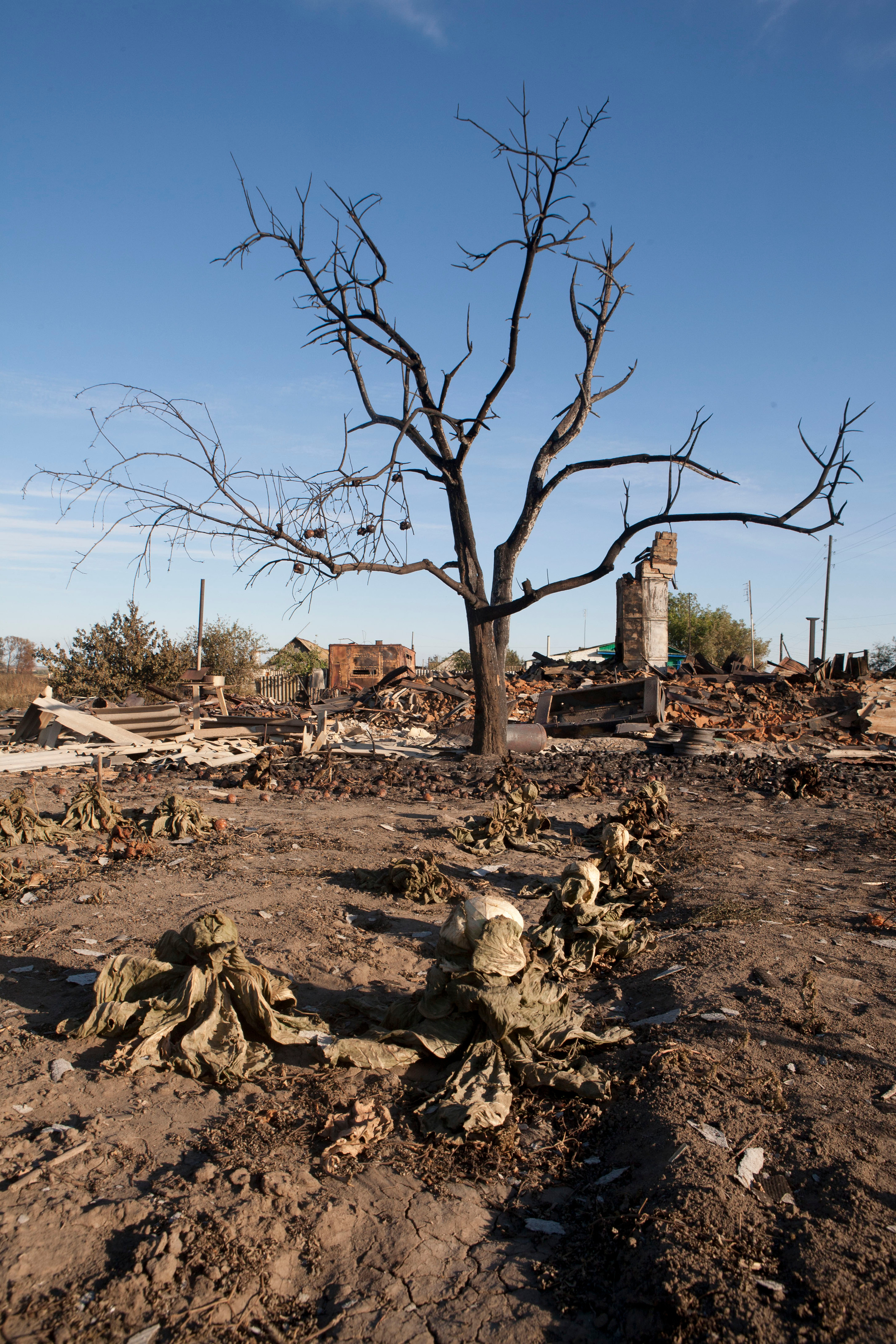 Травяные пожары. Фотограф Анна Барне