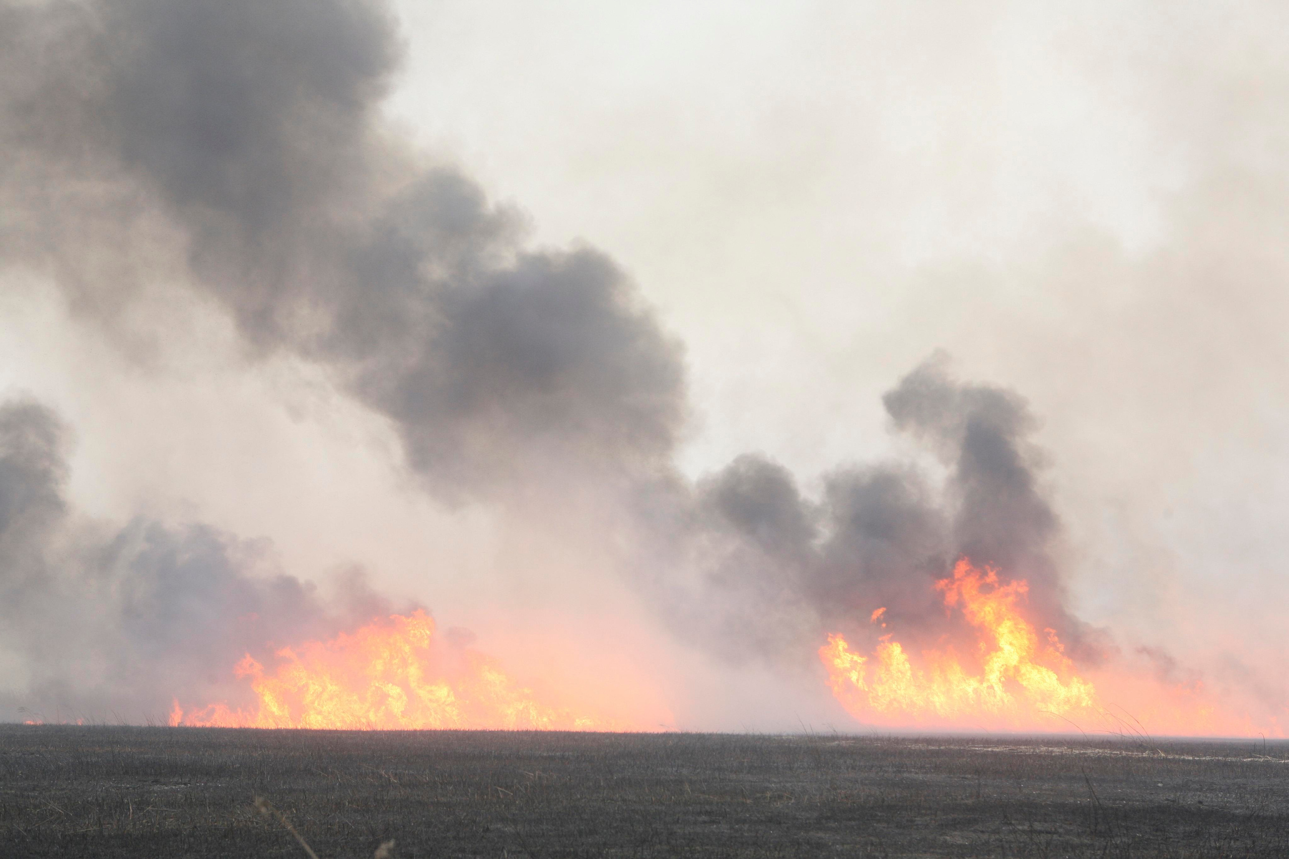 Травяные пожары. Фотограф Анна Барне
