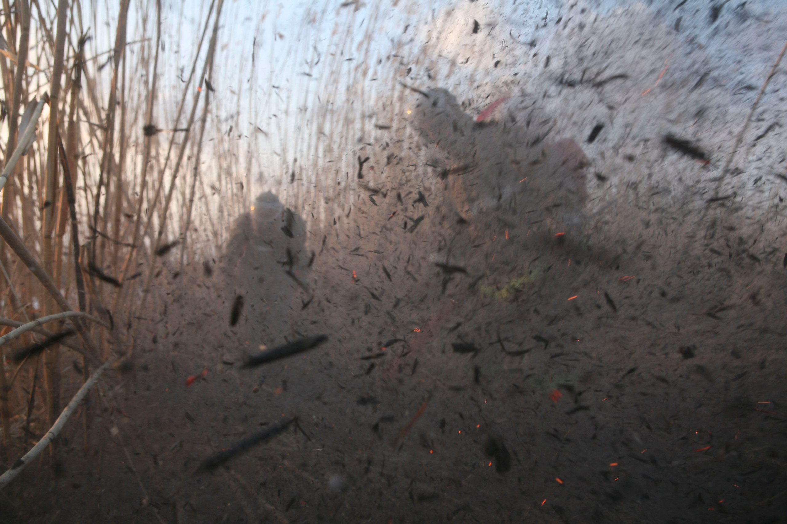 Травяные пожары. Фотограф Анна Барне