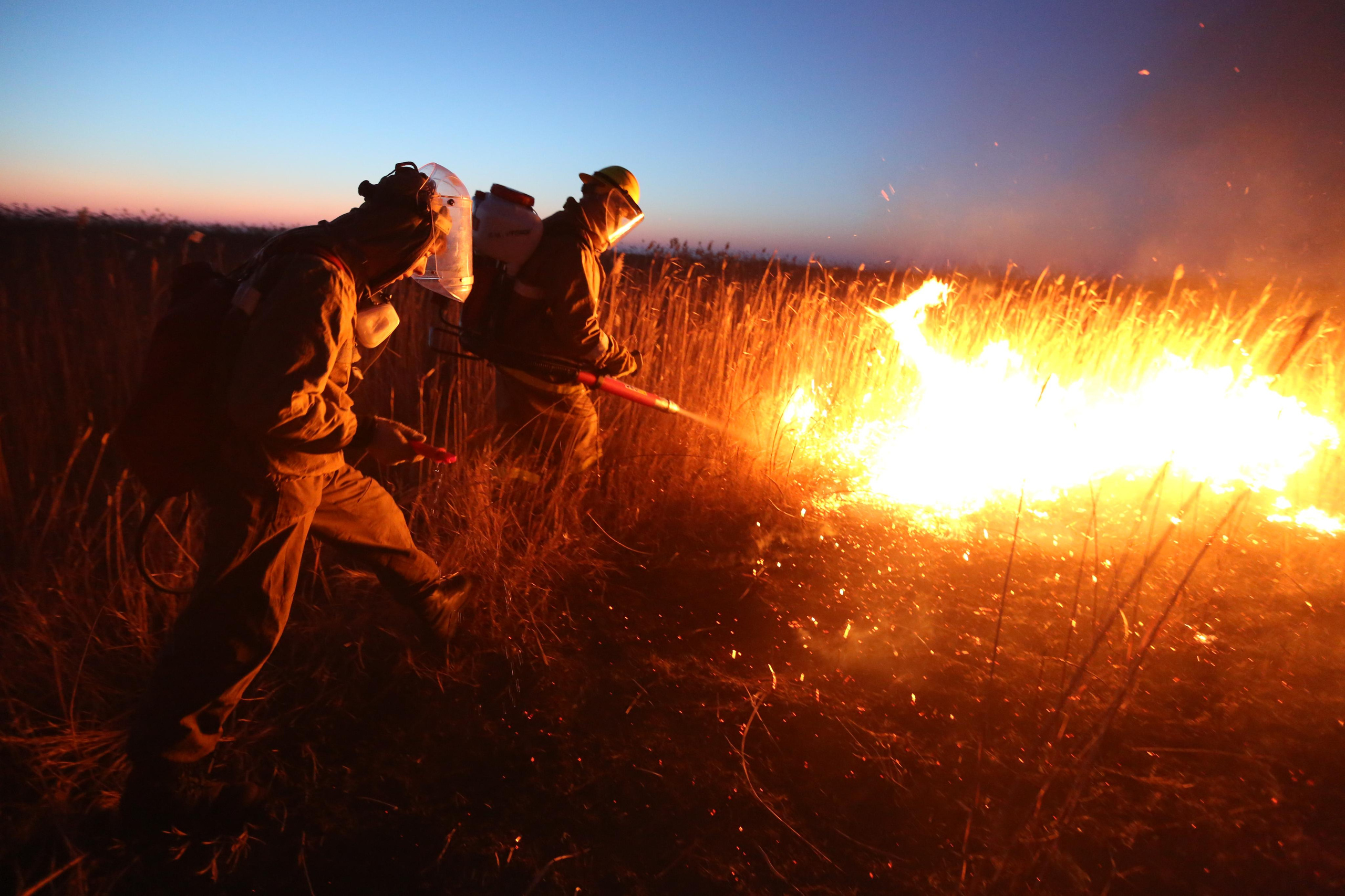 Травяные пожары. Фотограф Анна Барне