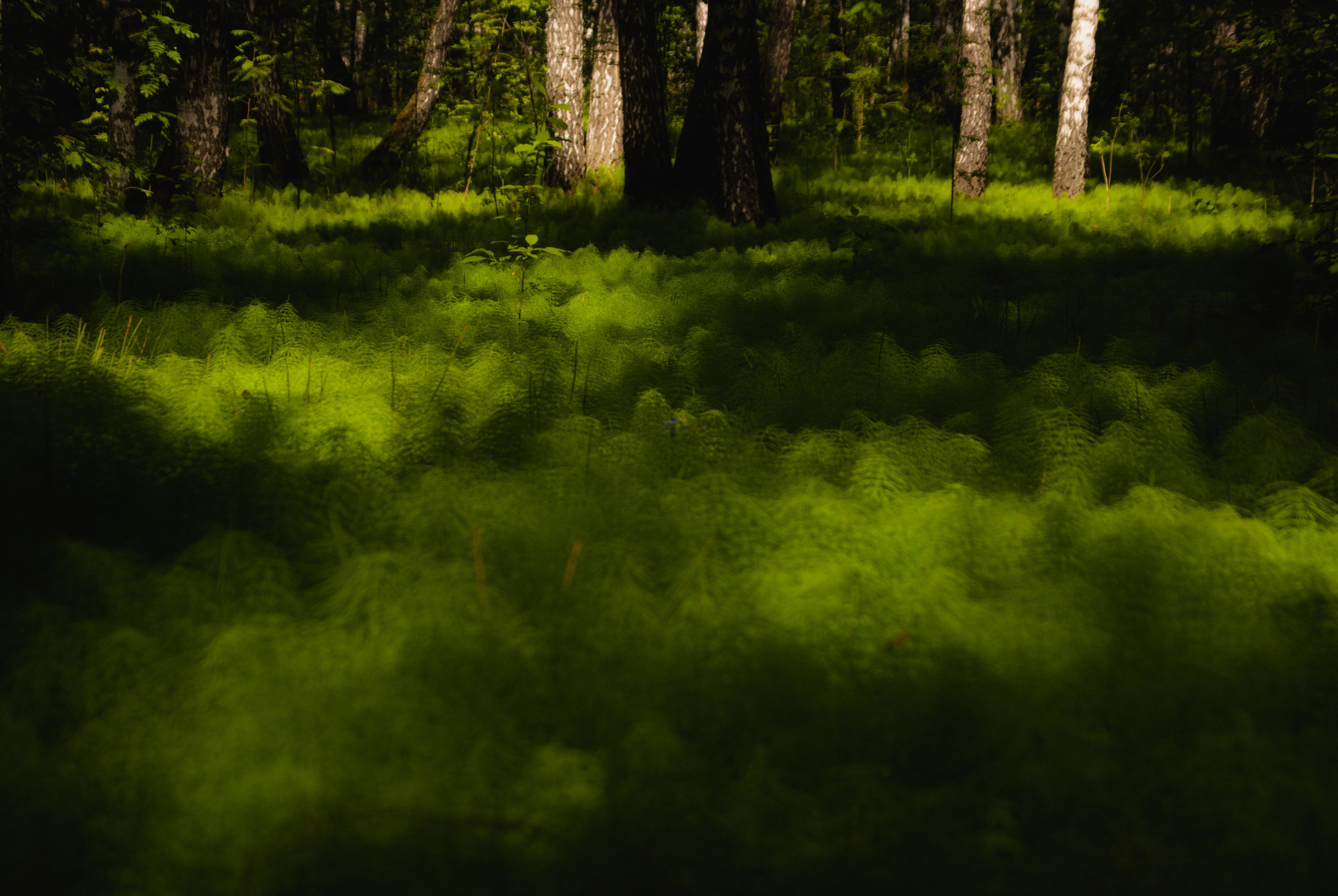 Этот прекрасный мир