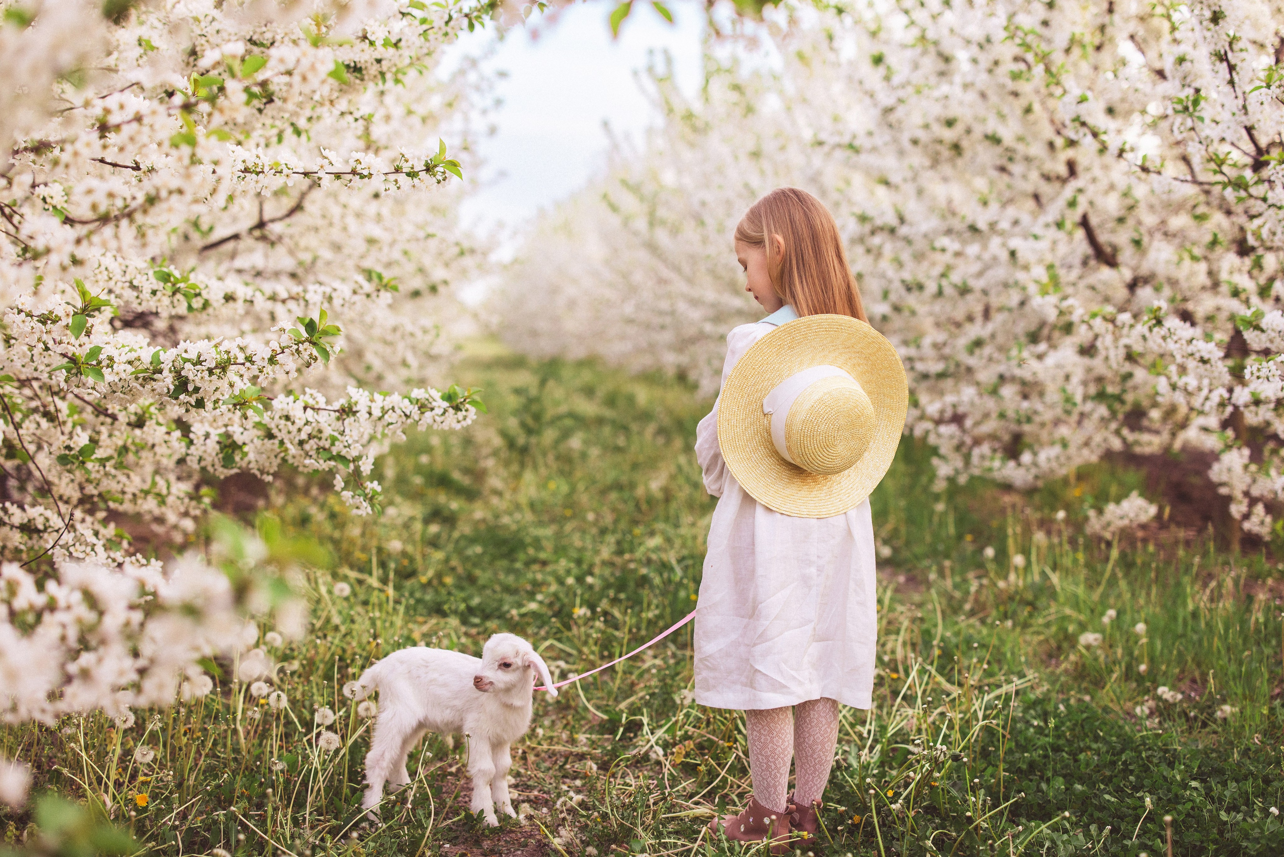 Фотосессия в цветущем саду с козочкой. Семейный и детский фотограф в Краснодаре Анна Трашкова