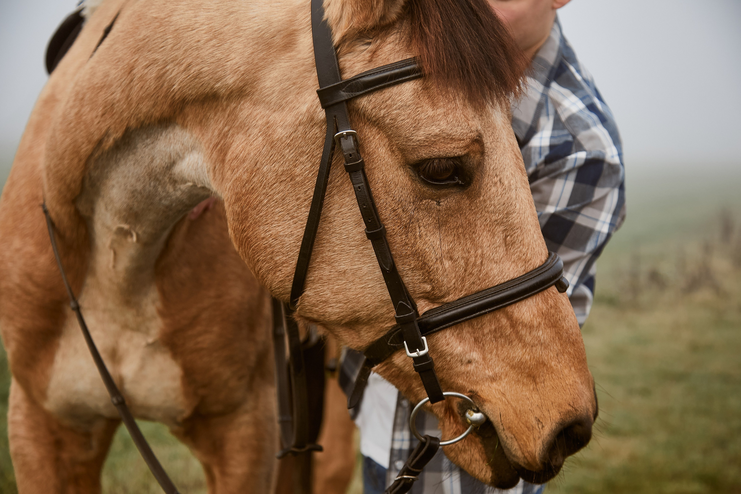 «Он, Она и Винсент ван Гог». Свадебный и креативный фотограф в ЮФО