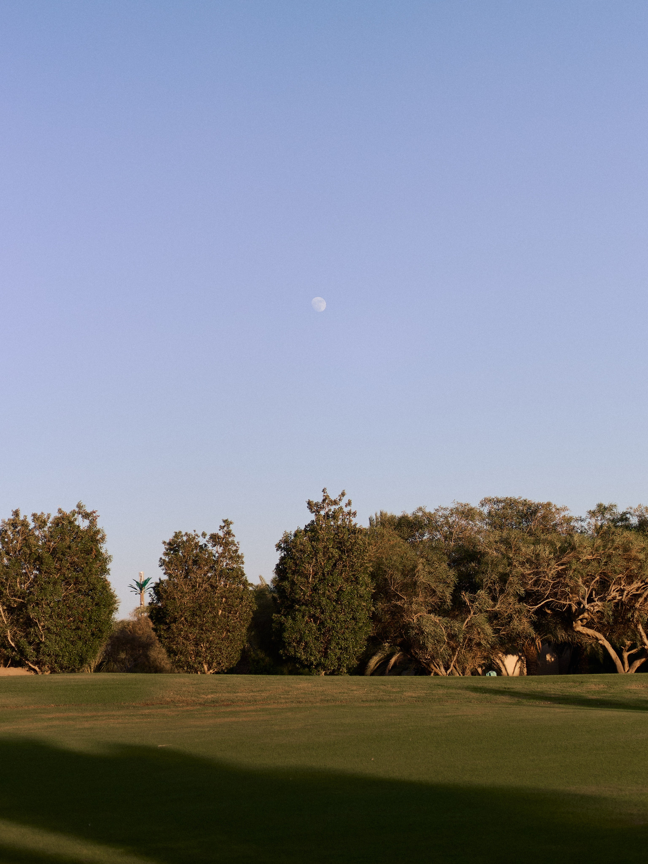 Другое 3. Jorgis Talè — photographer, kind person, teacher of arts and other mag