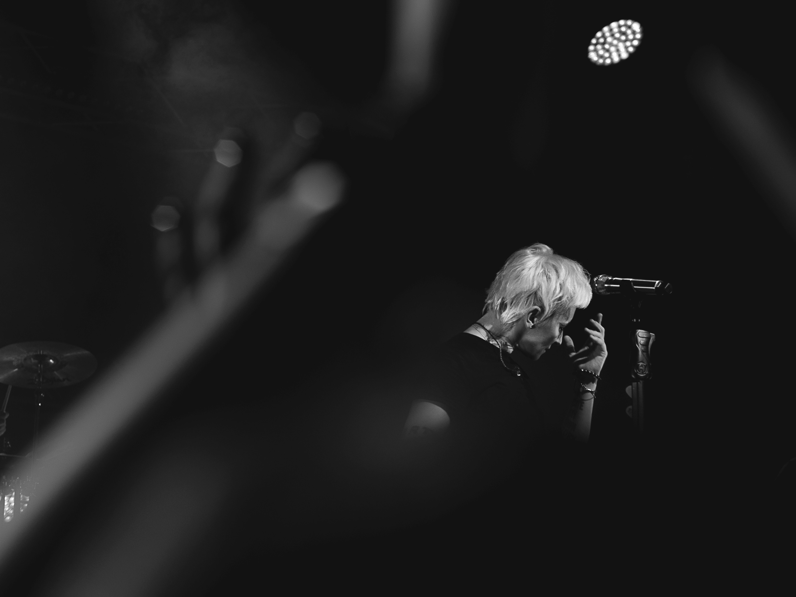 ночные снайперы, диана арбенина, фотограф севастополь