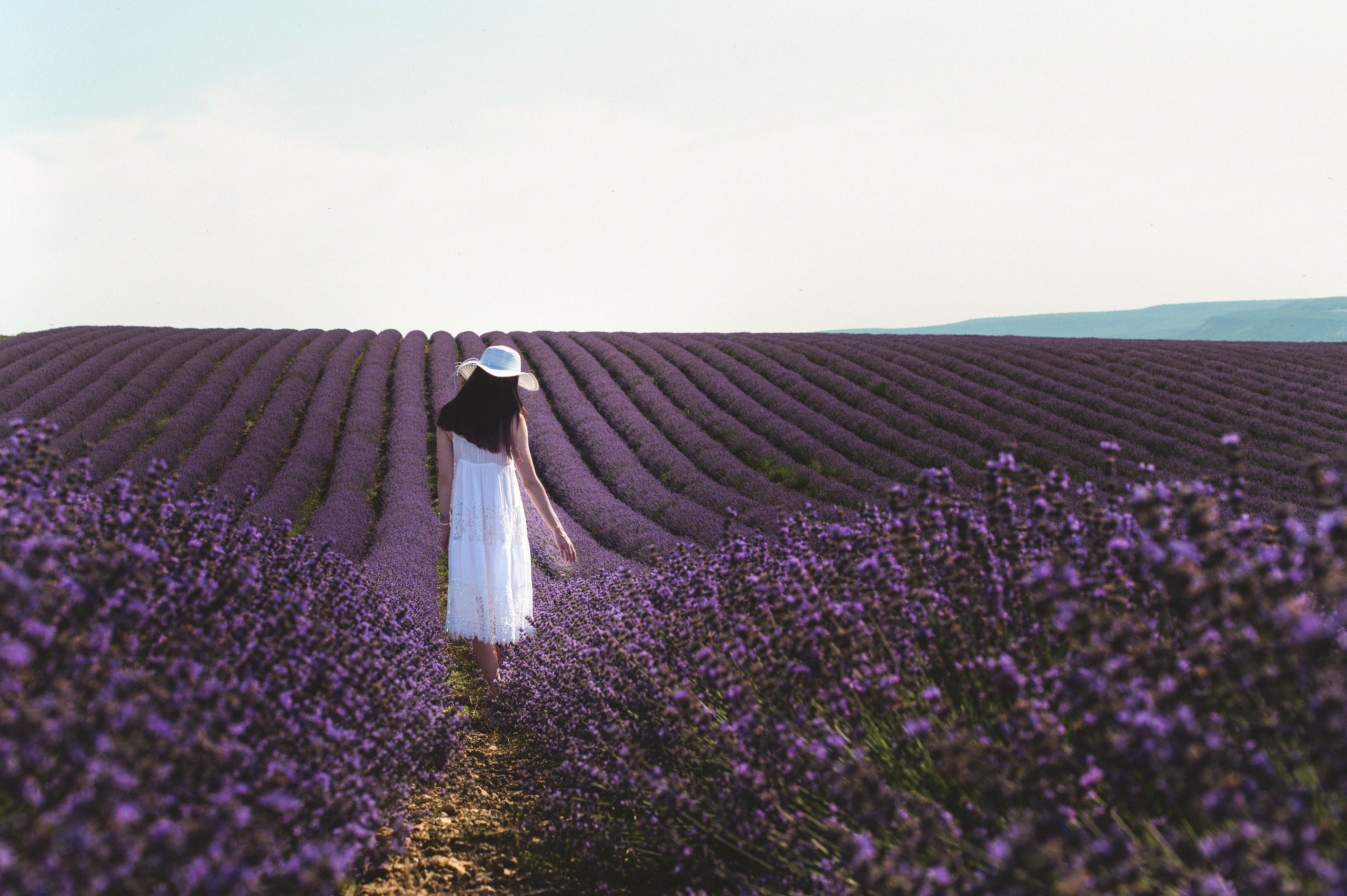 фотосессия в лавандовом поле, фотосессия в лаванде