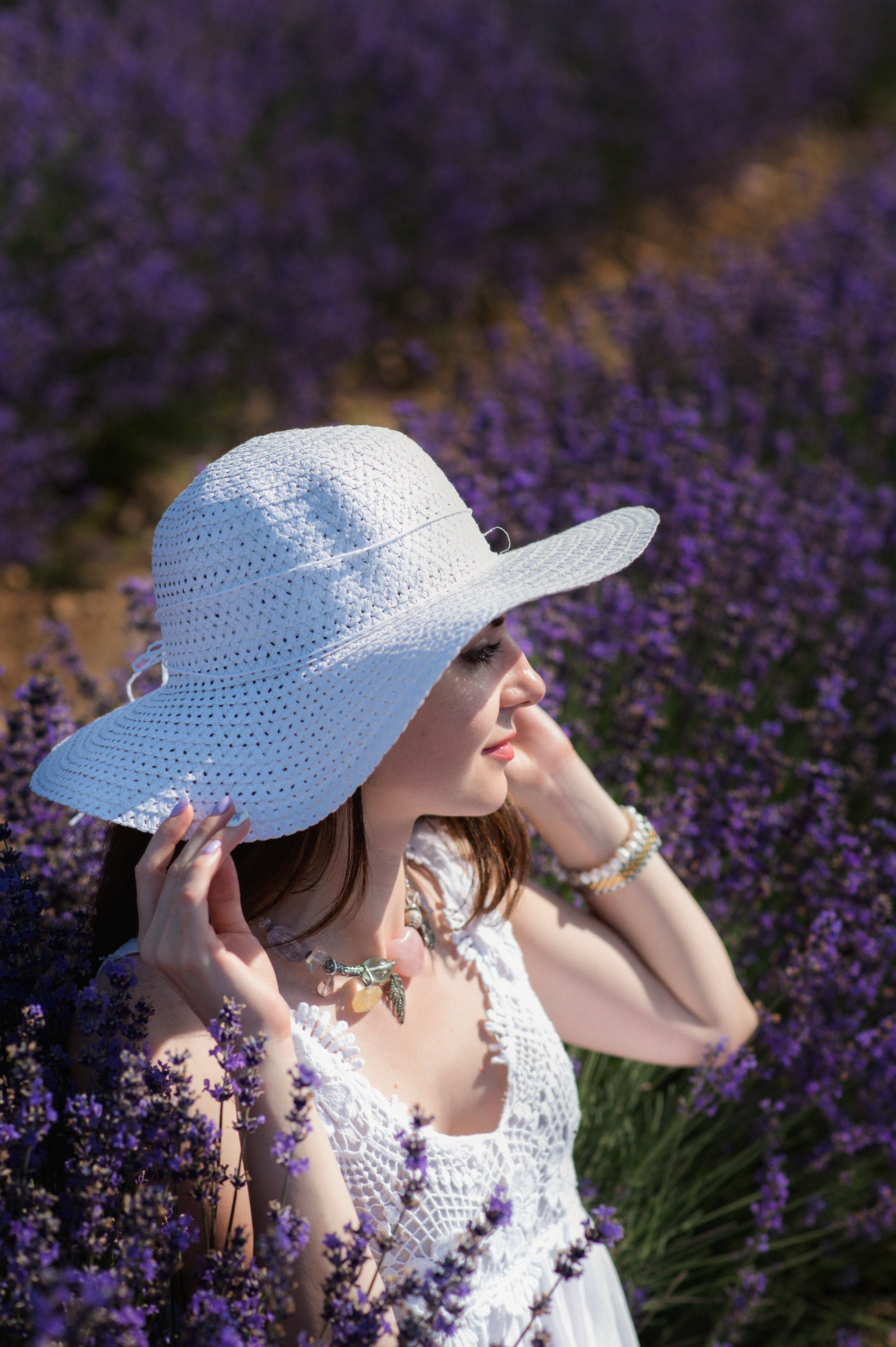 лавандовое поле Крым, лаванда Крым